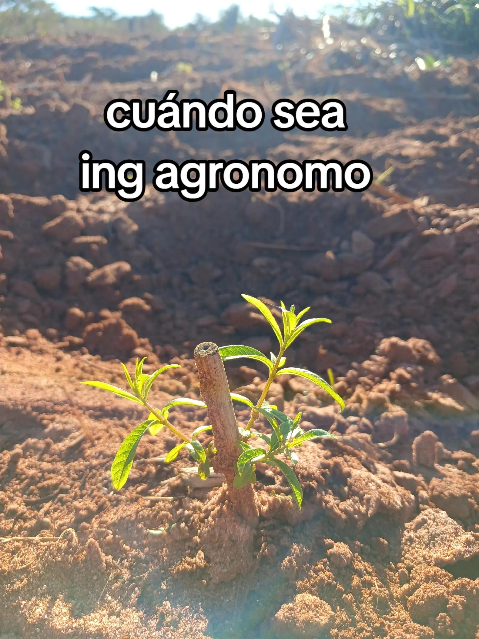 @Teteconpan🍼