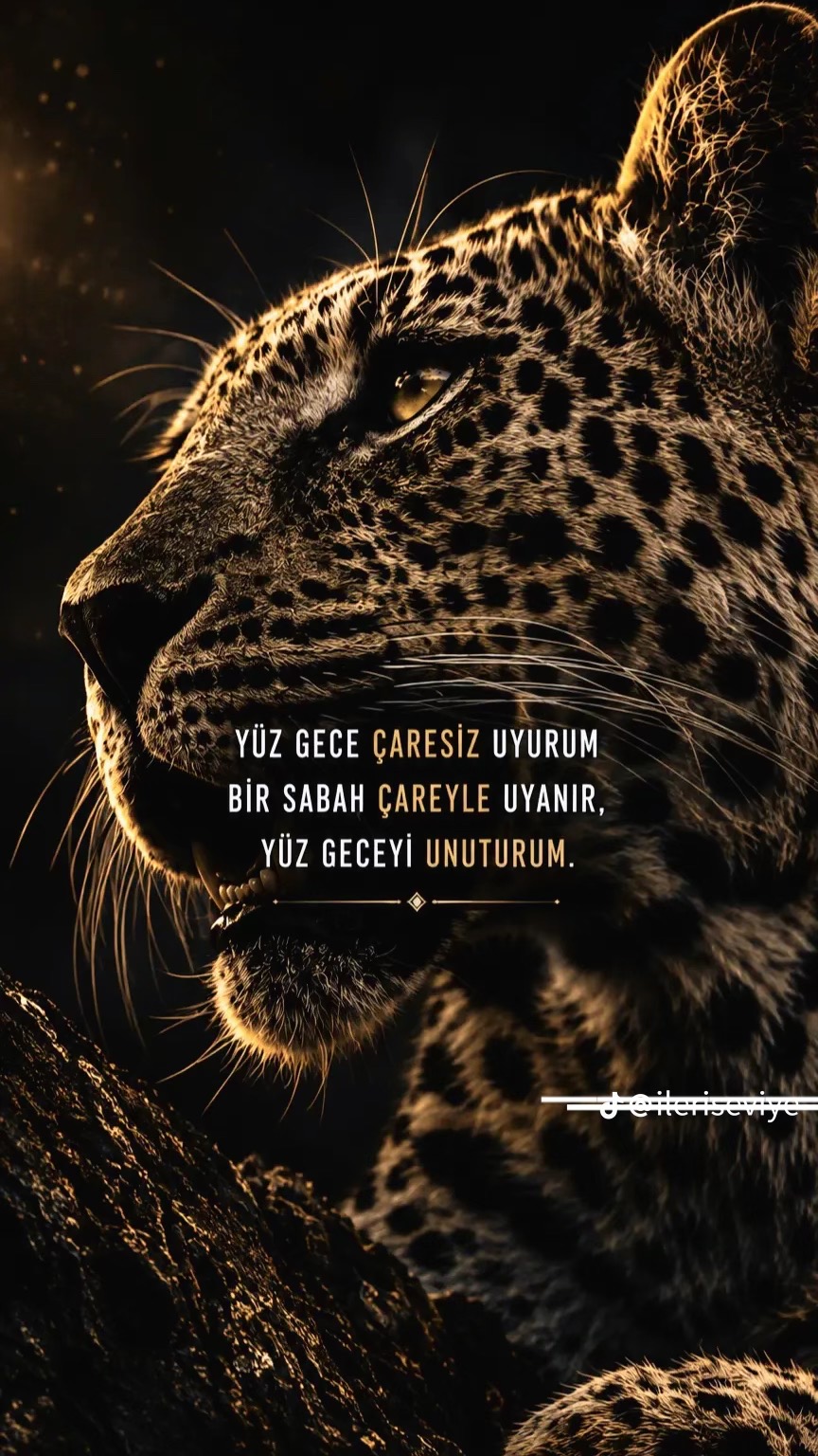 @ferhatistekli7