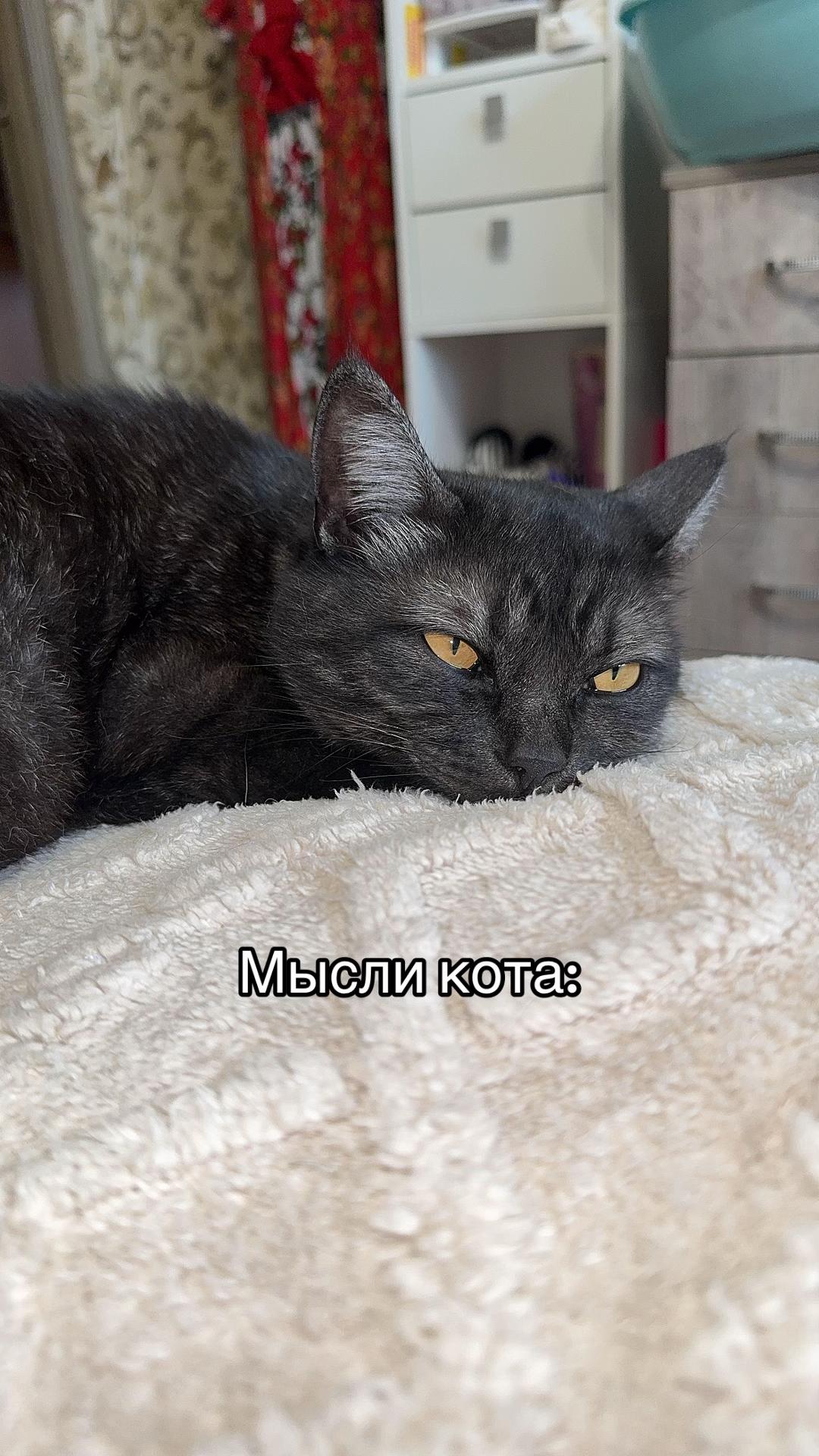 @Счастливые моменты