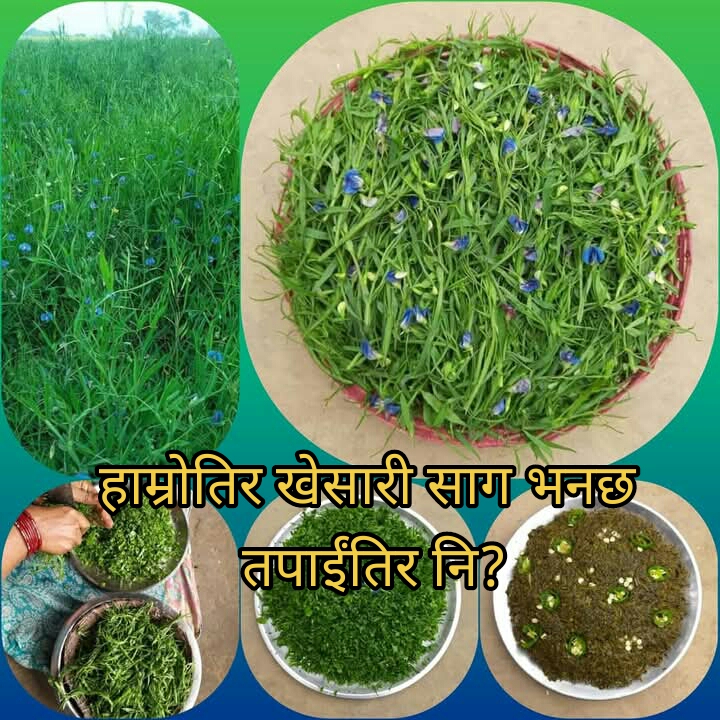 @@Arun Gupta1155