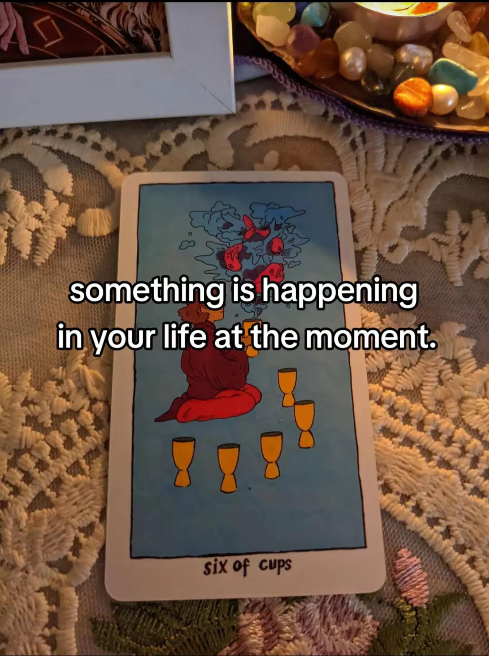 @ROSA🔮