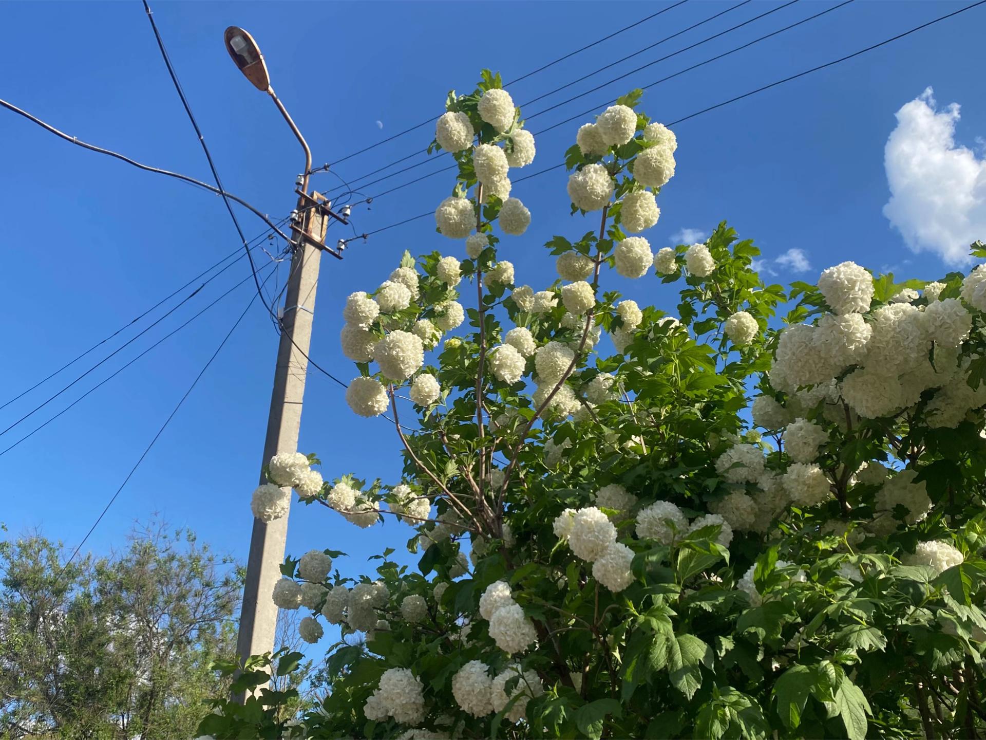 @соня икспа