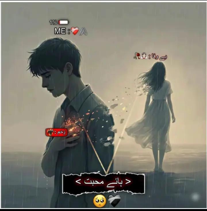 @🏴☠️_ پیر محمد_ بادشاہ_☠️