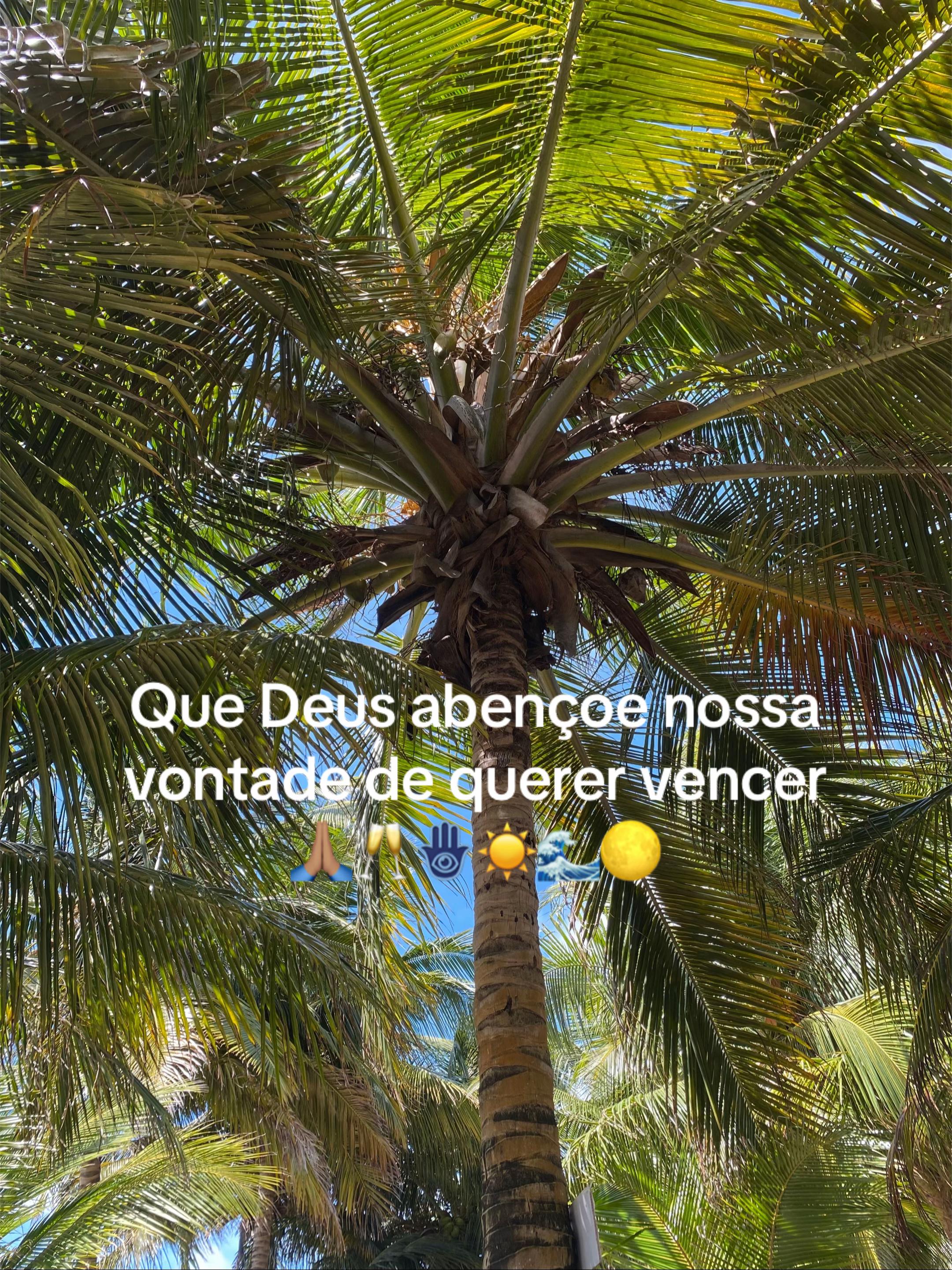 @Yasmim Dornelas