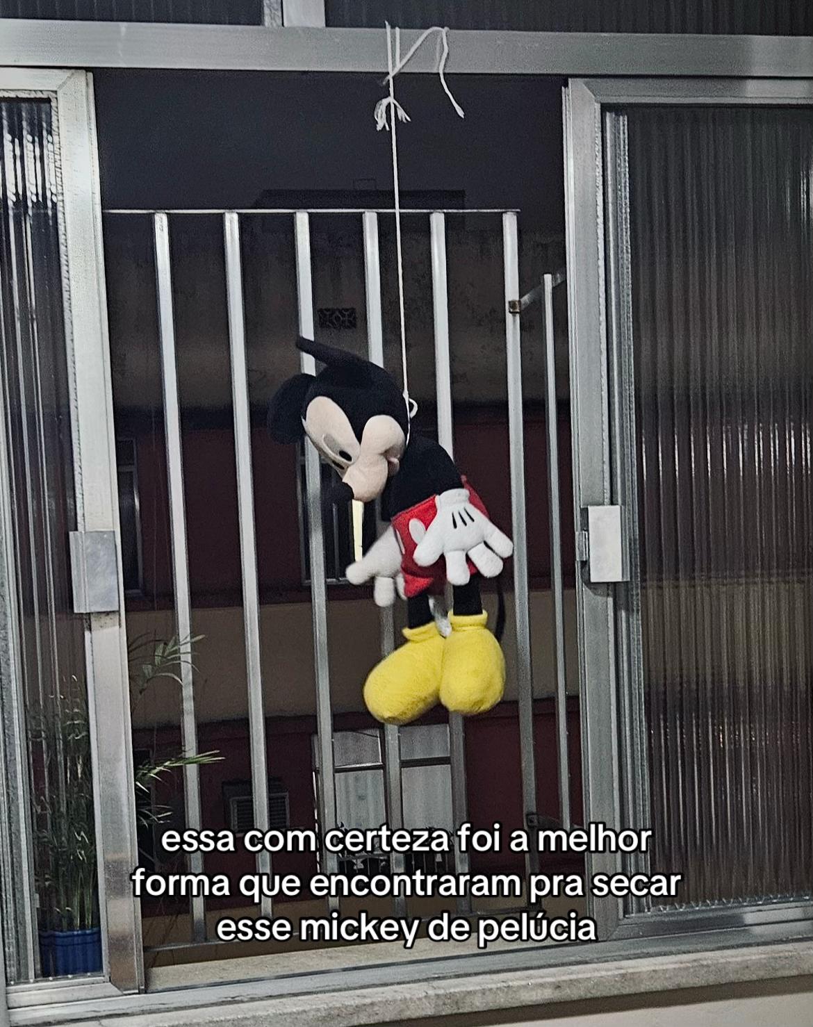 @Matheus Albuquerque