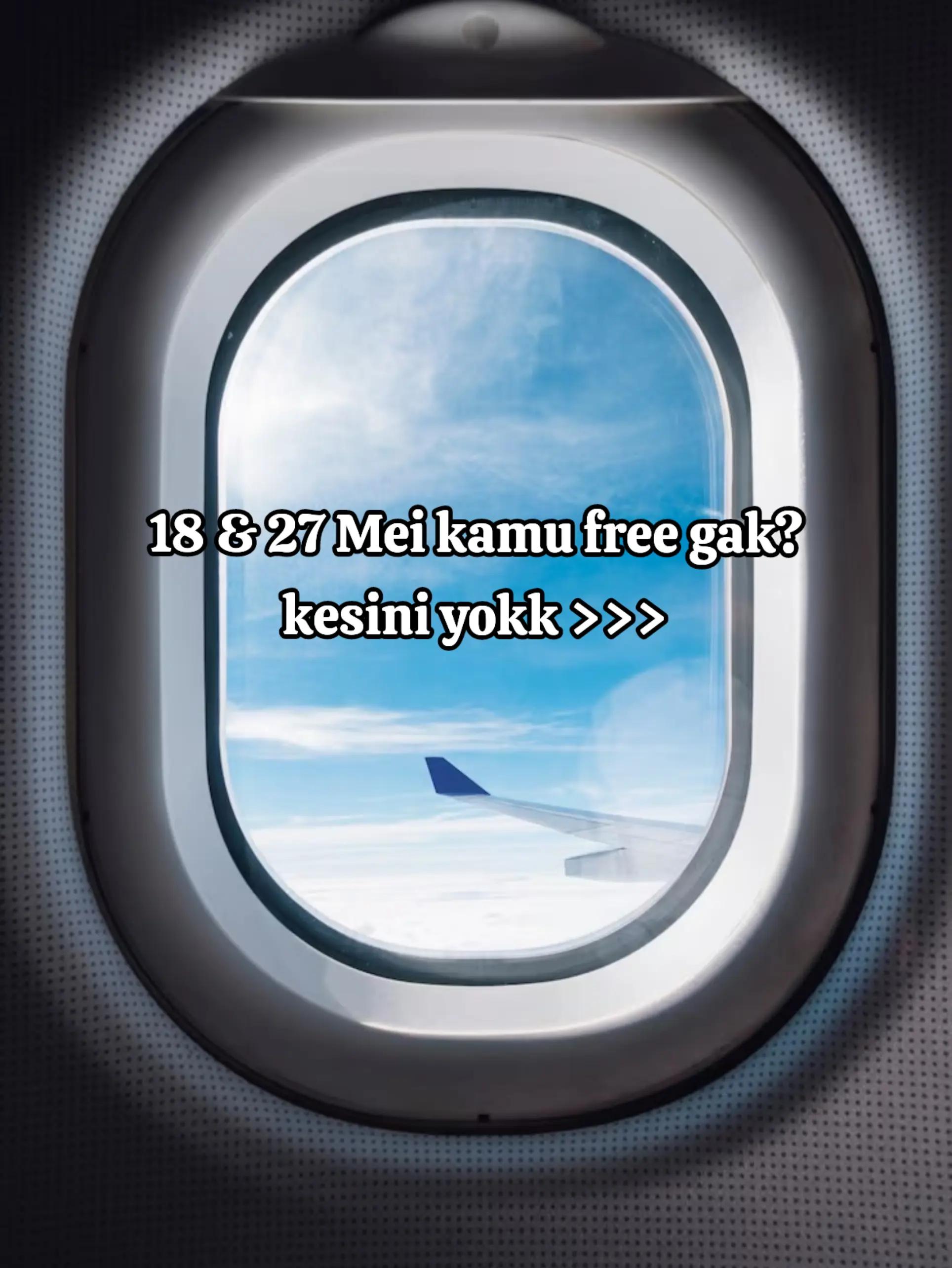 @tintinraynervacation