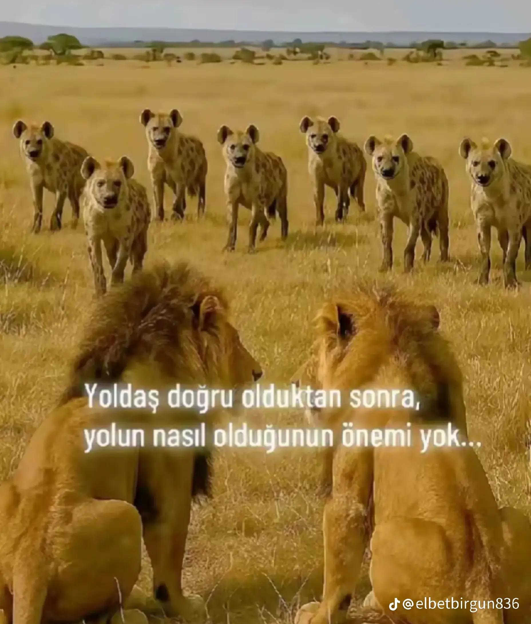 @umudun yuregidir yaşamak