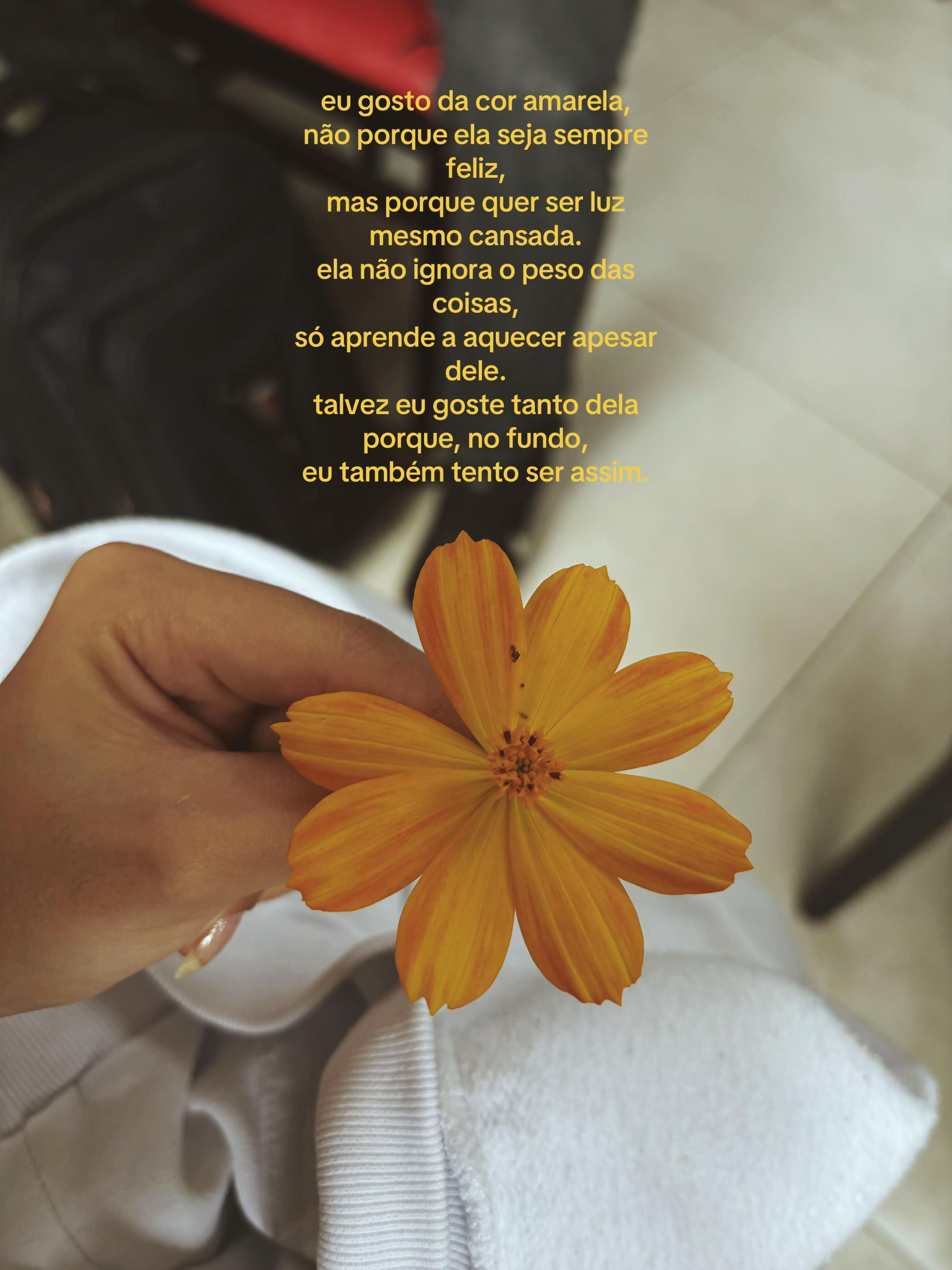 @Leninha