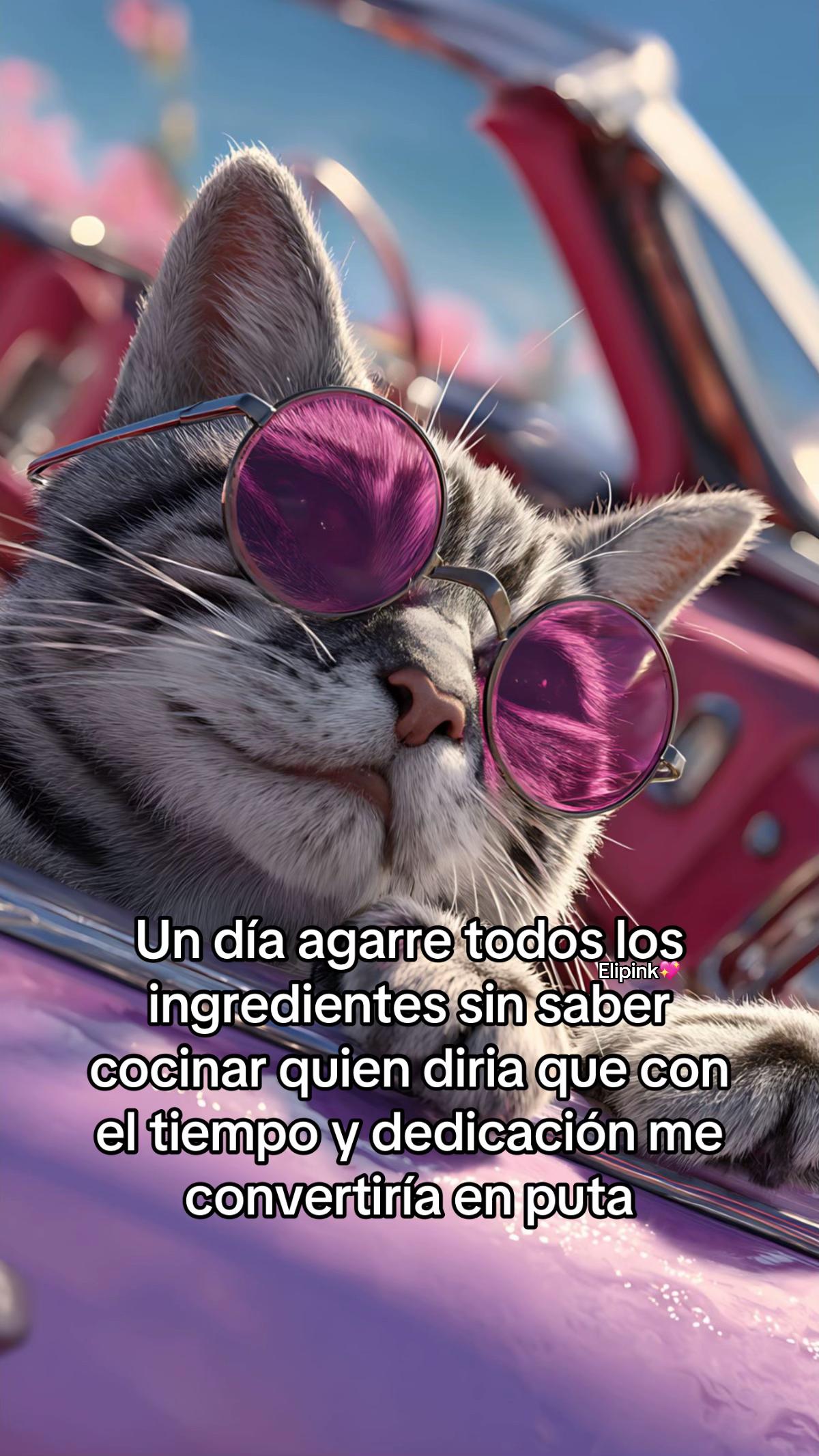 @elipiink