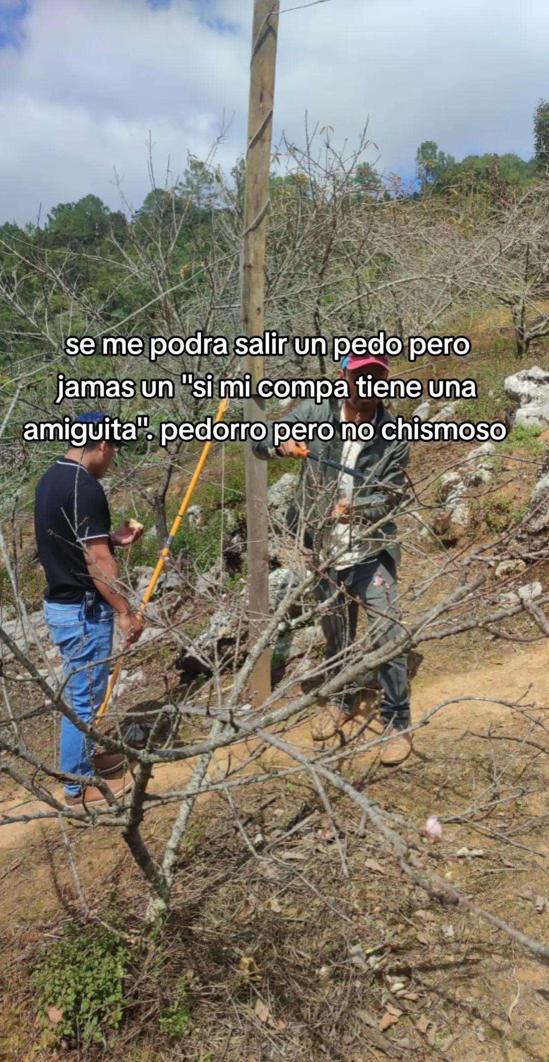 @El inge_agro🧑🌾🌽