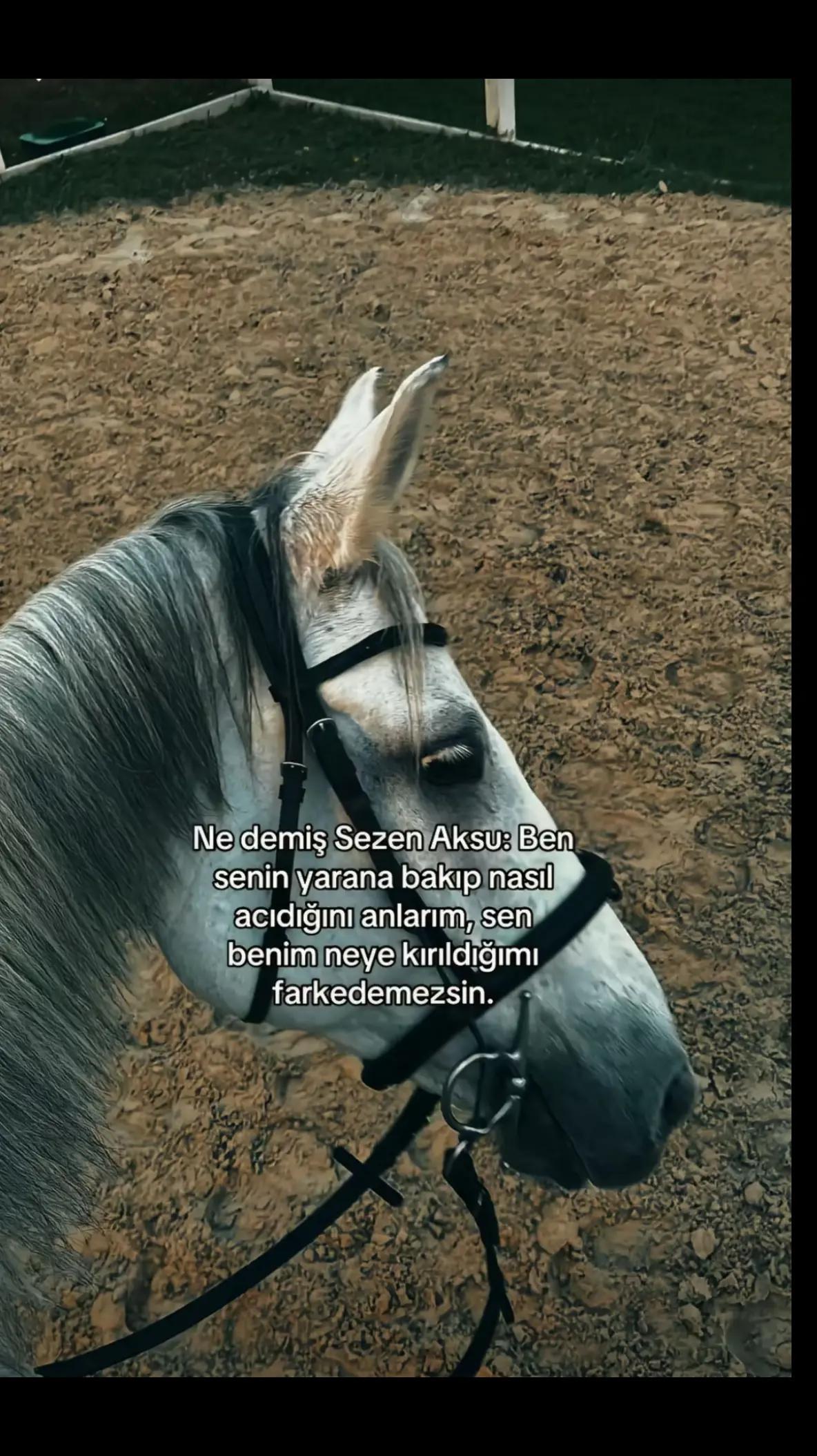 @NightandMe