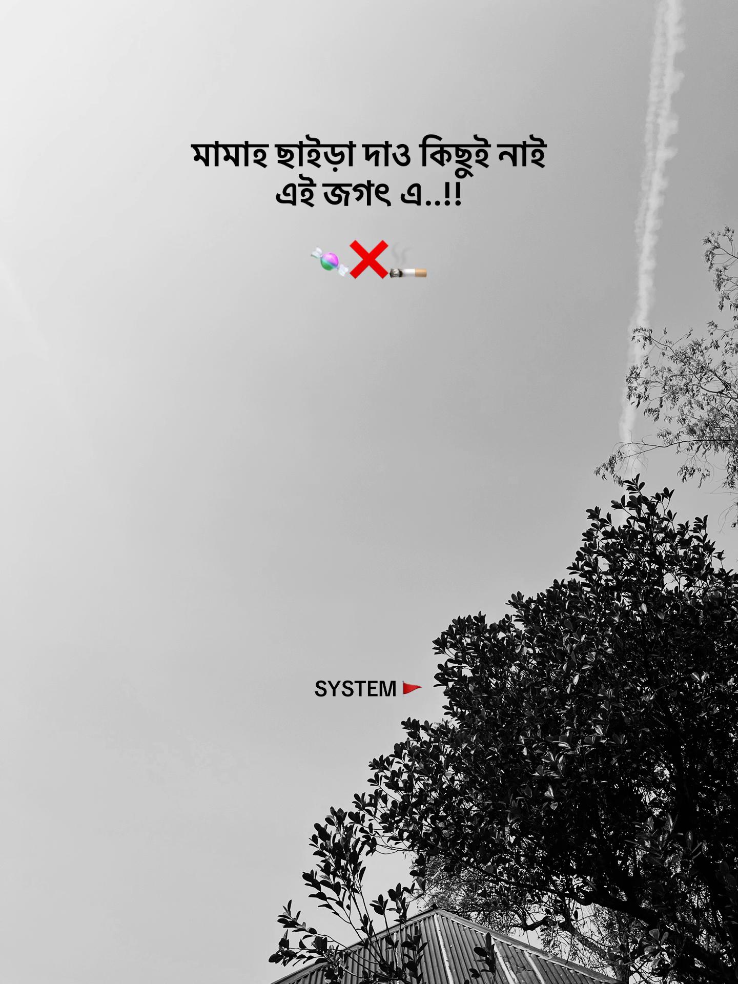 @SYSTEM 🚩