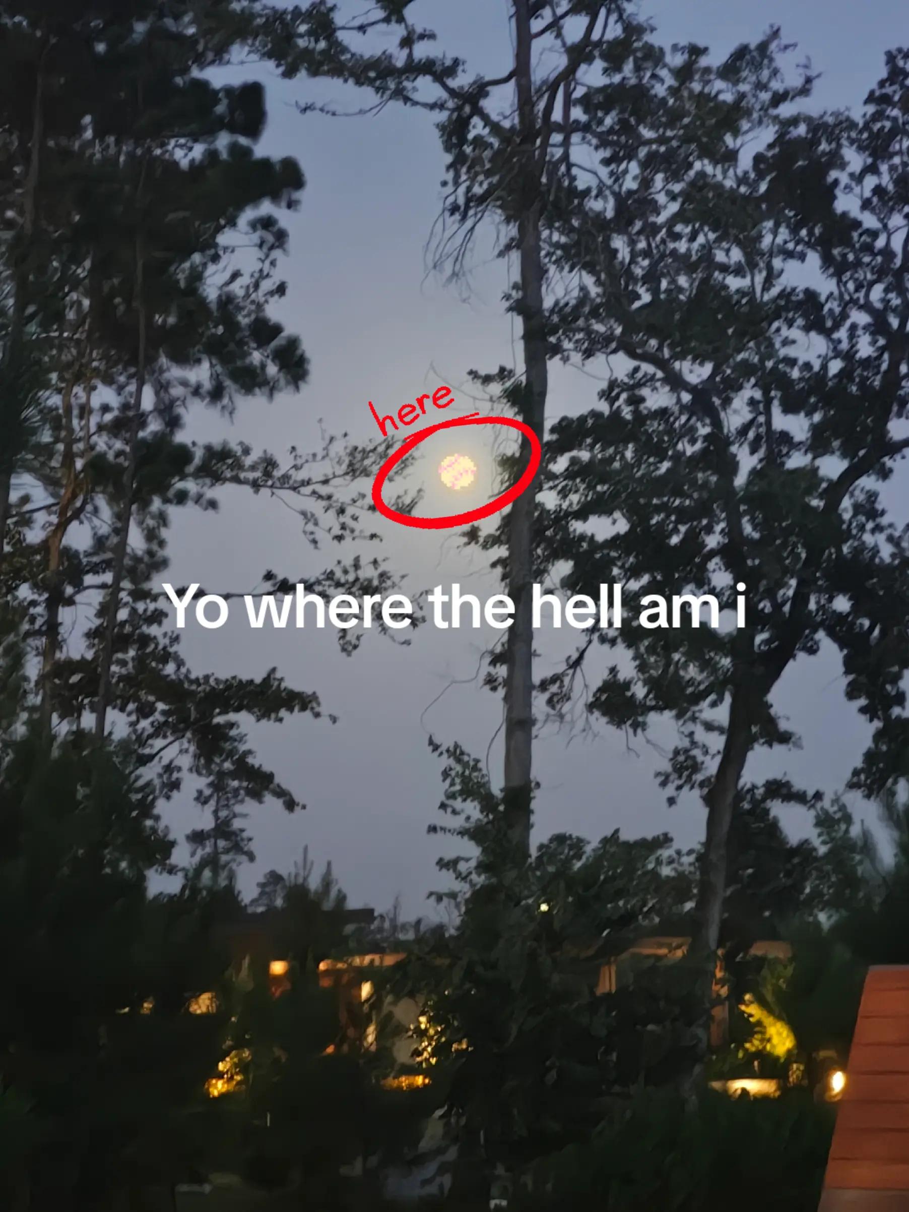 @nasgo