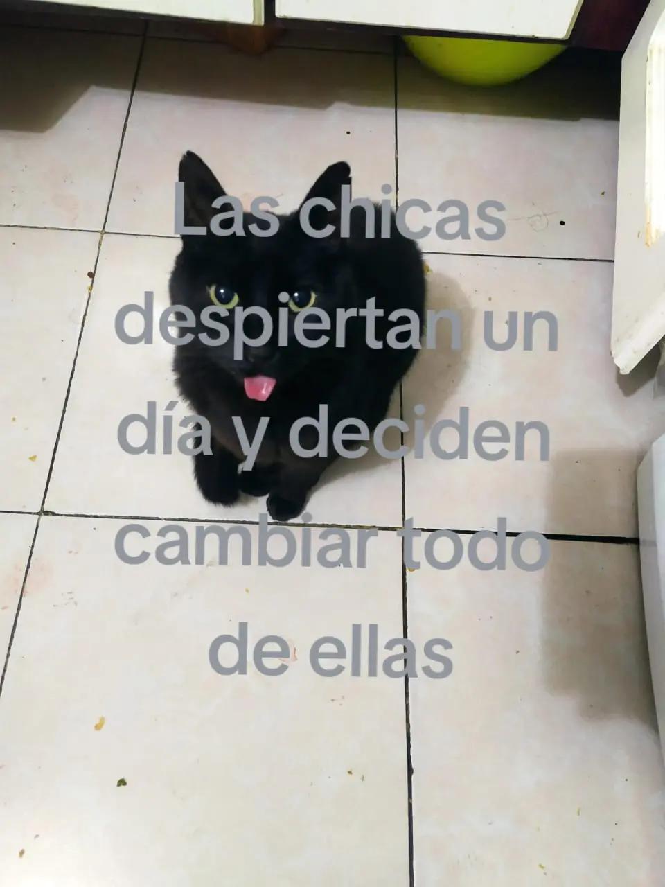 @Cuervo jamás sonrie
