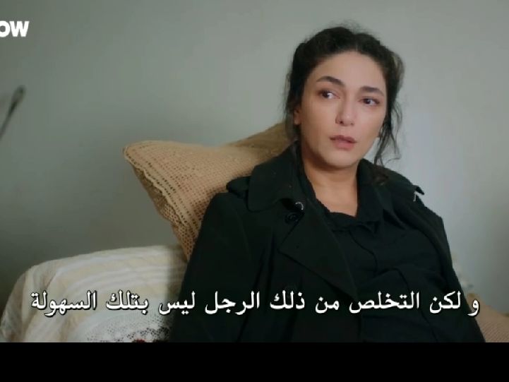 @alshamifan1919