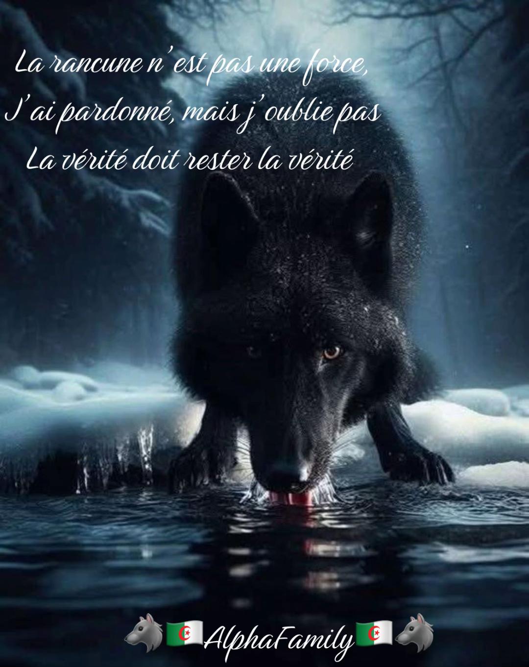 @🐺🇩🇿AlphaCoeur de louve🐺