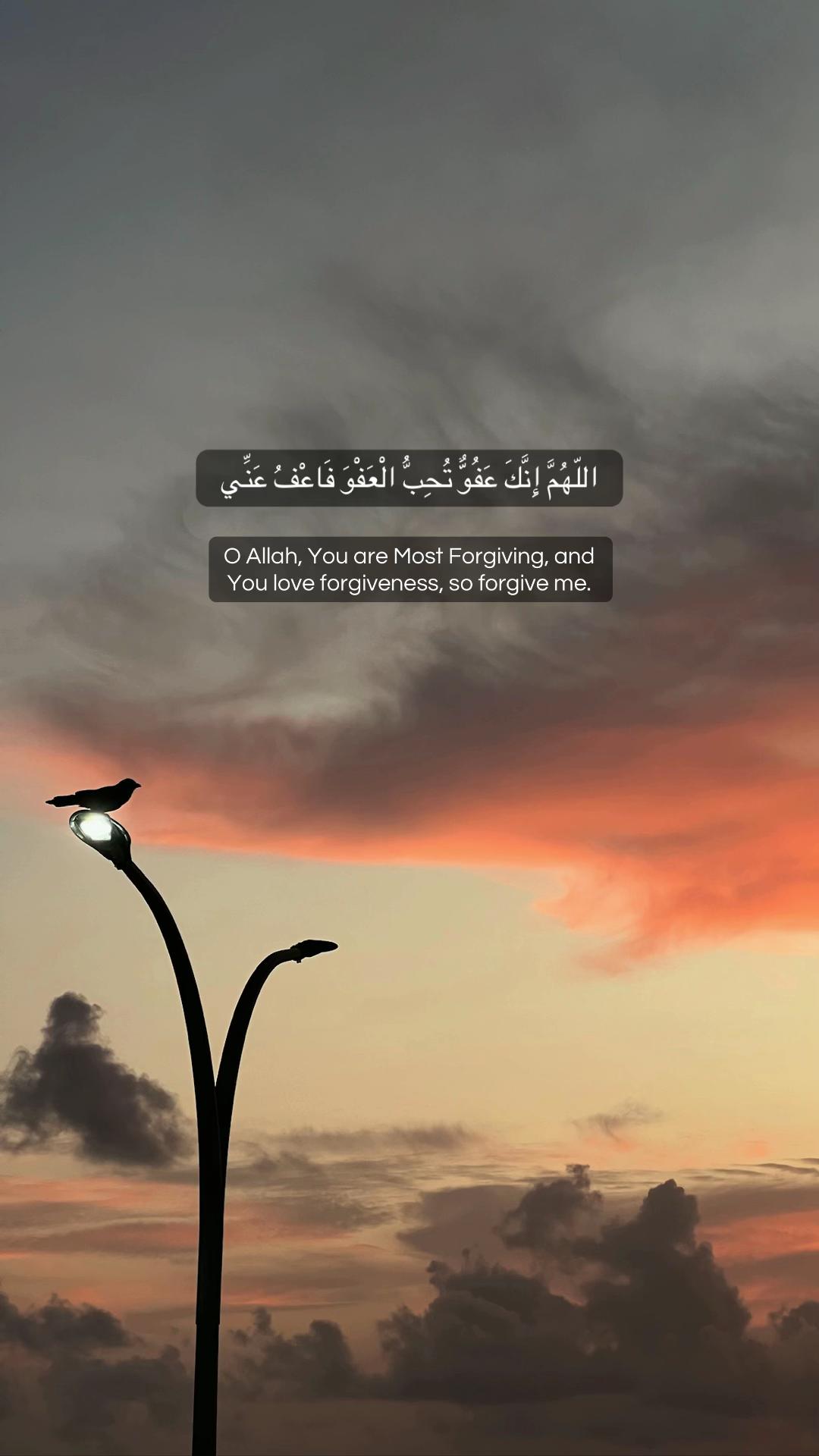 @احمد