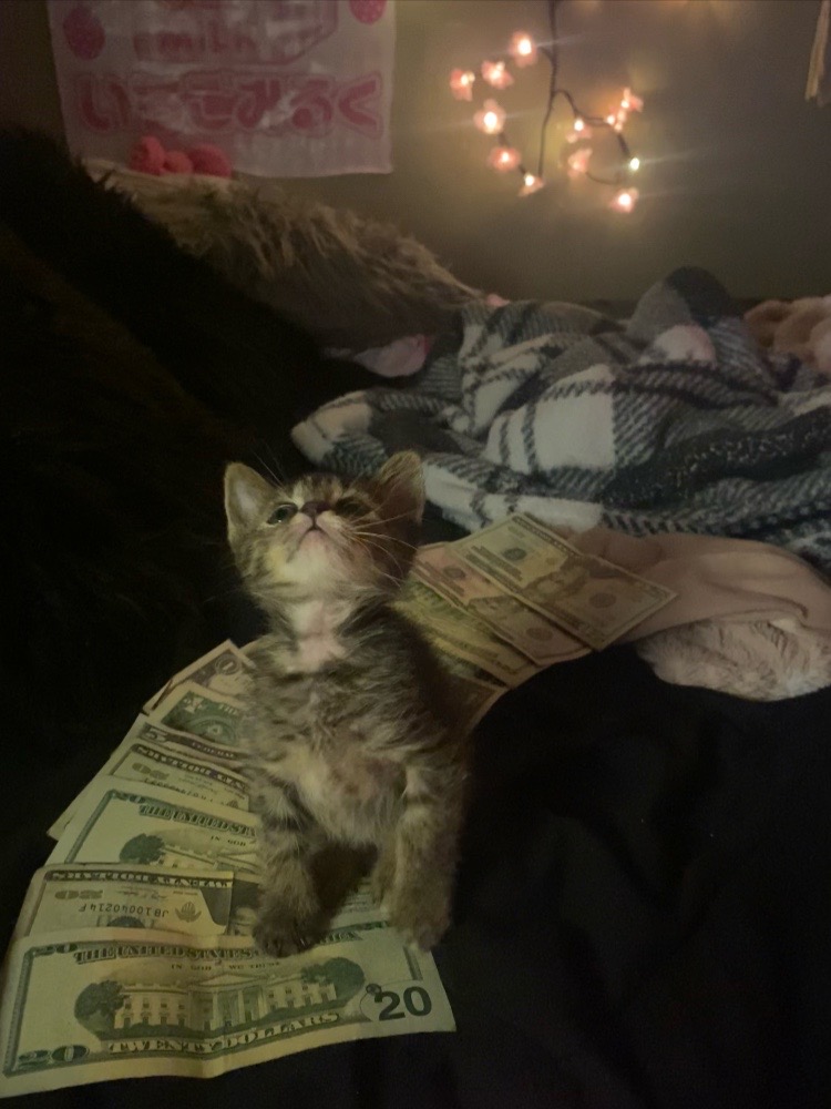 @๐