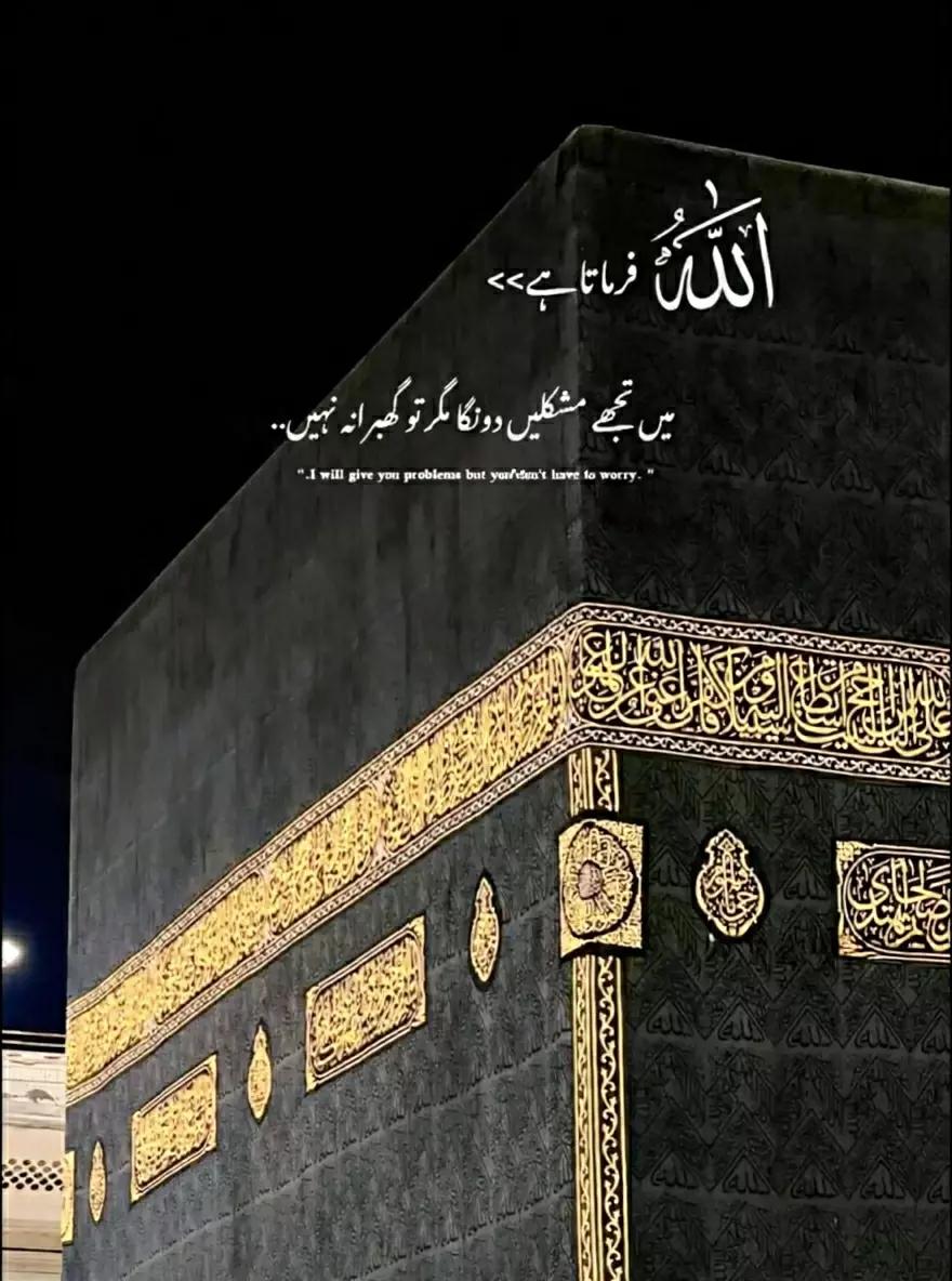 @🚩شاہ جی کہتے ہیں🚩