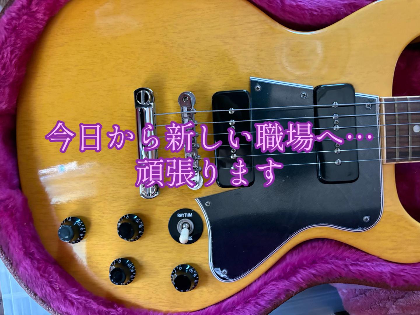@SHIORU50&times;クリエイター🐈☯️