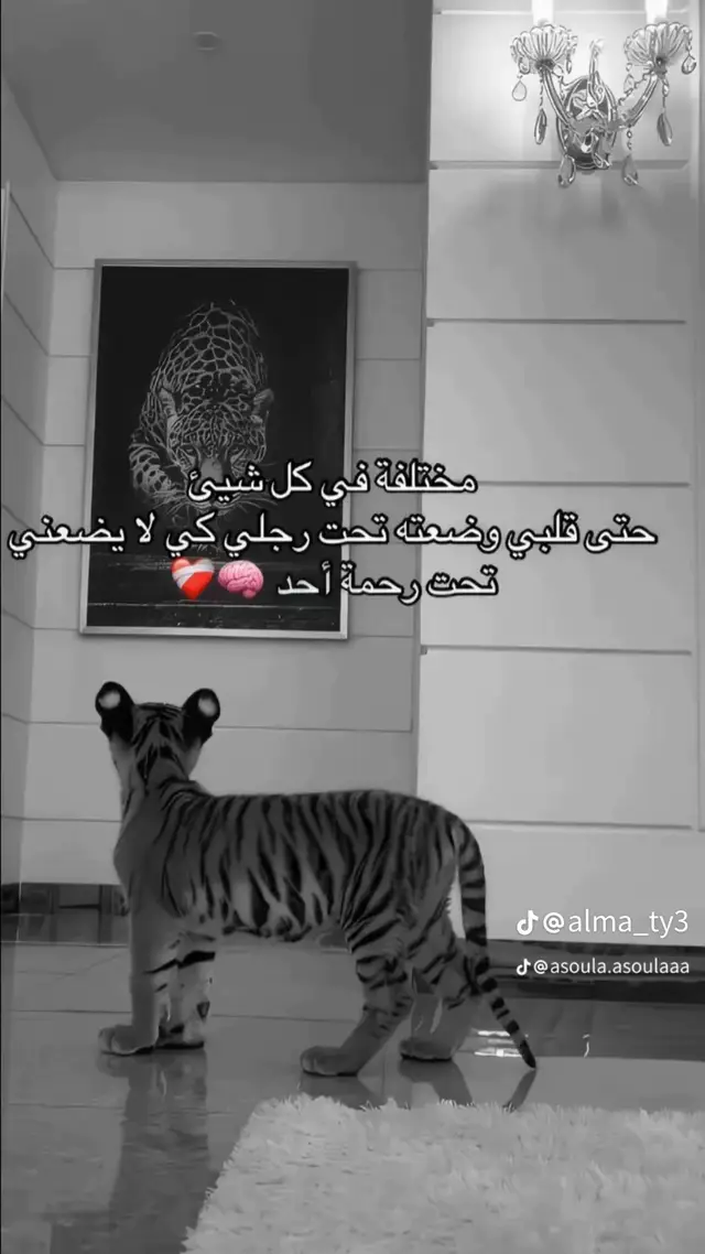 @Radhia❤️