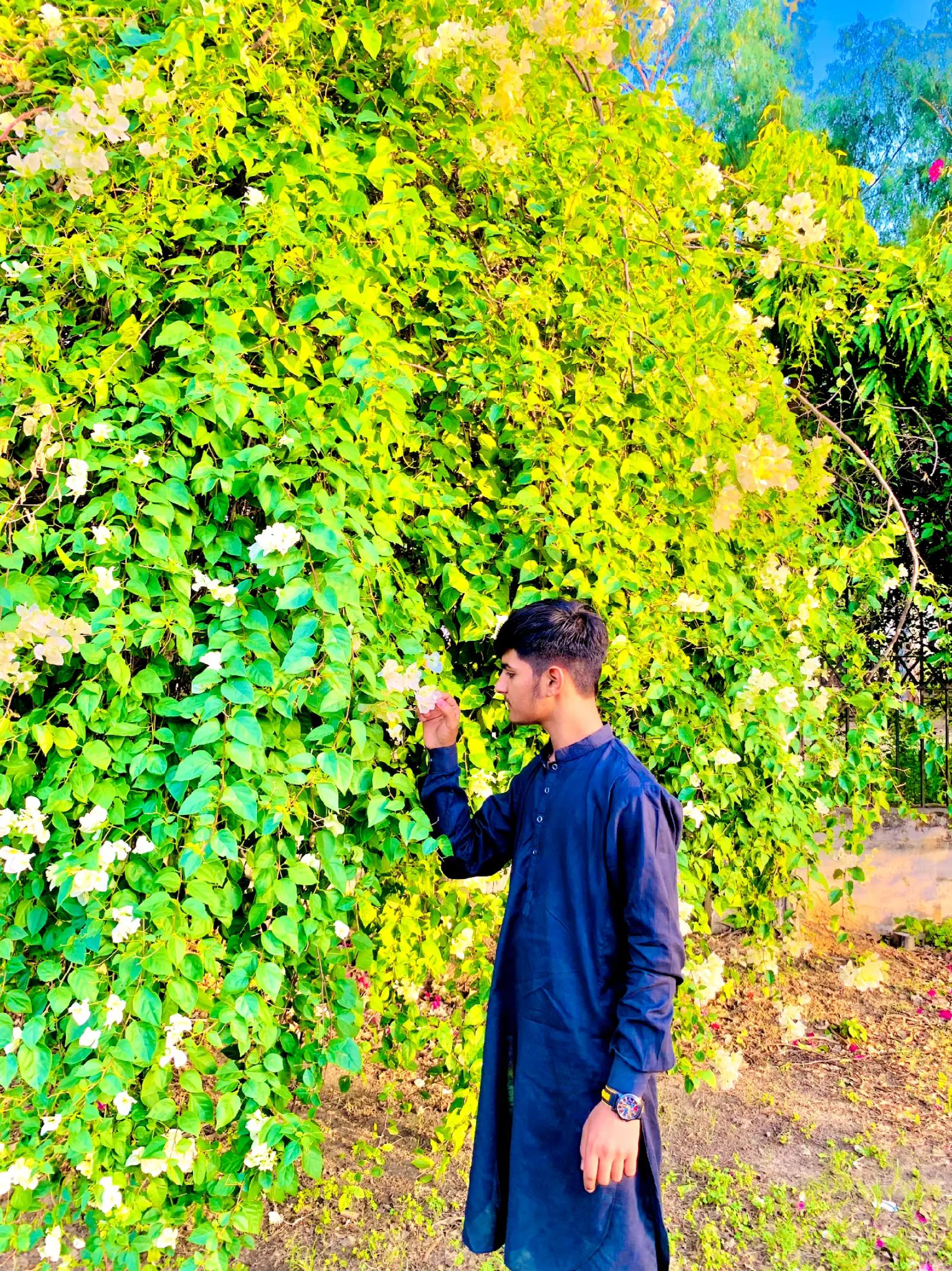 @Husnain🌸