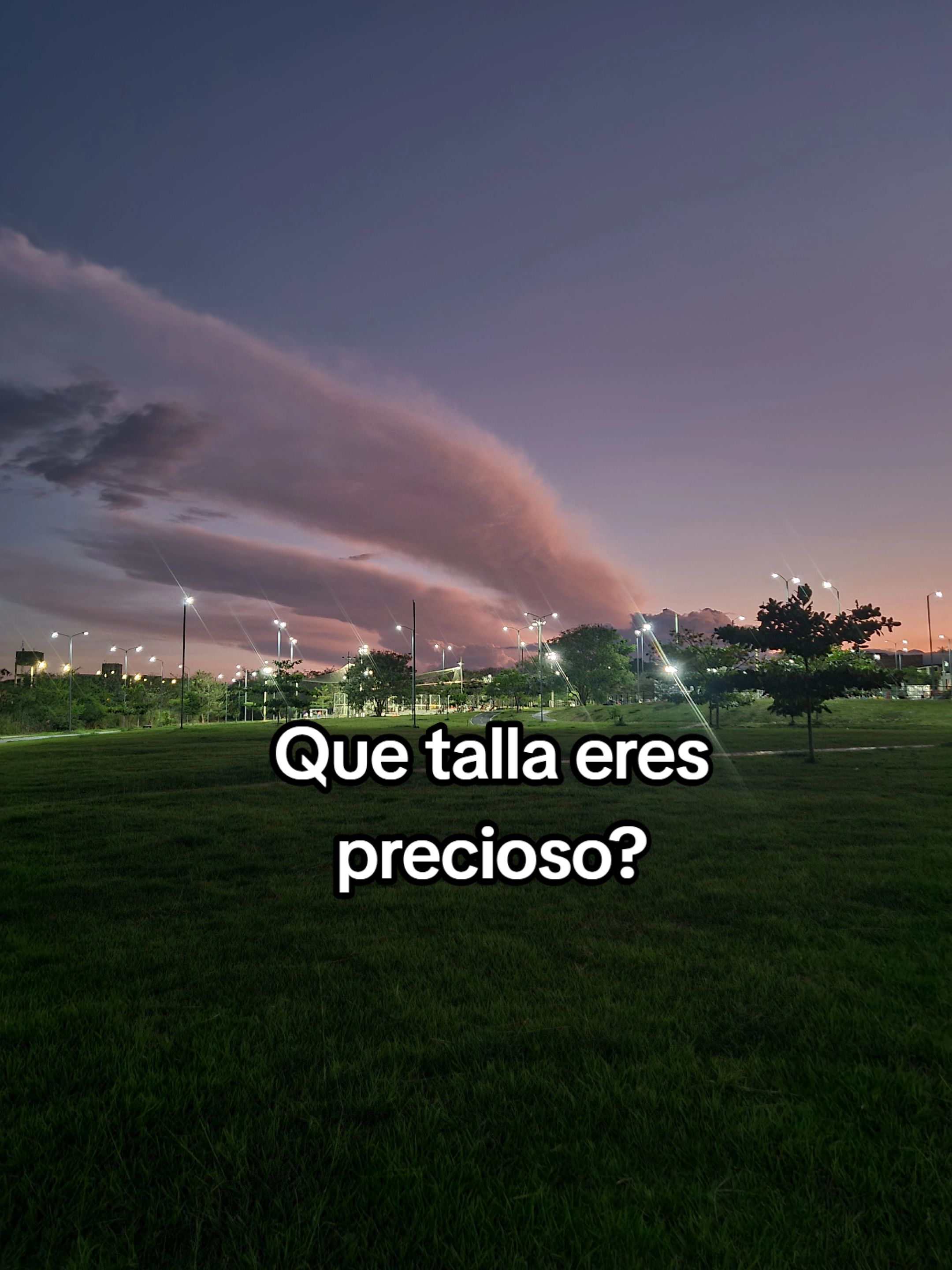 @Maya Detalles