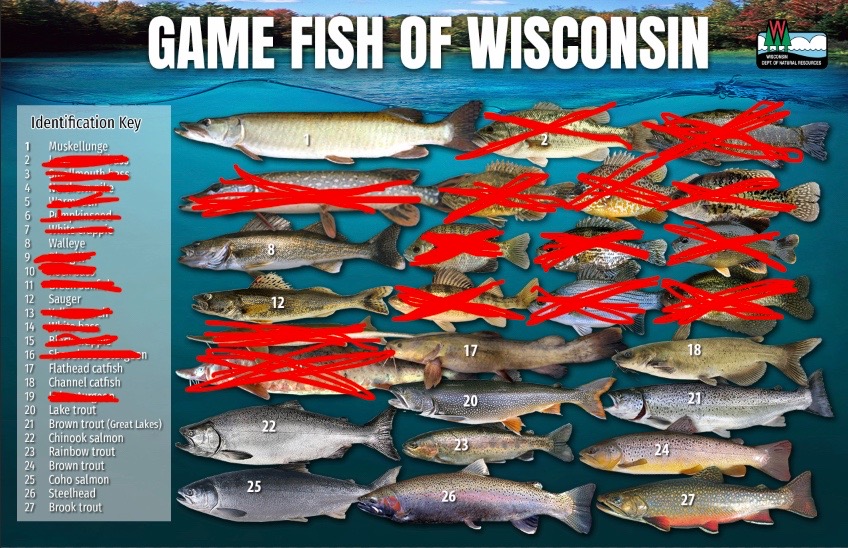 @wi_bassin