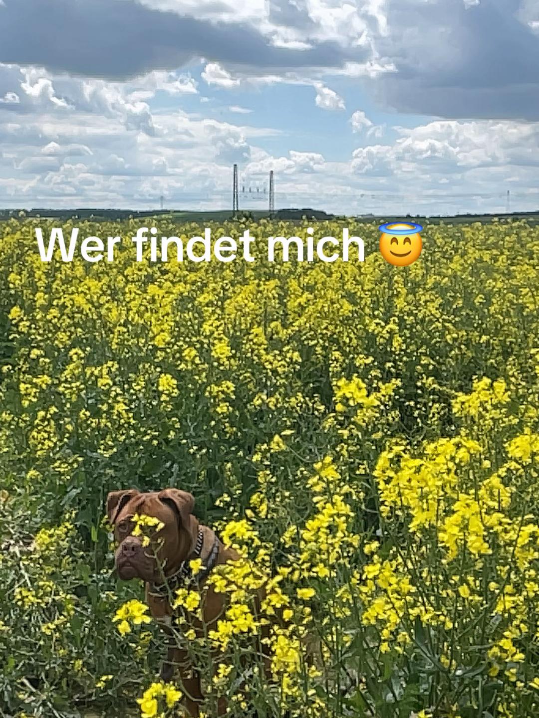 @Marleene🐶