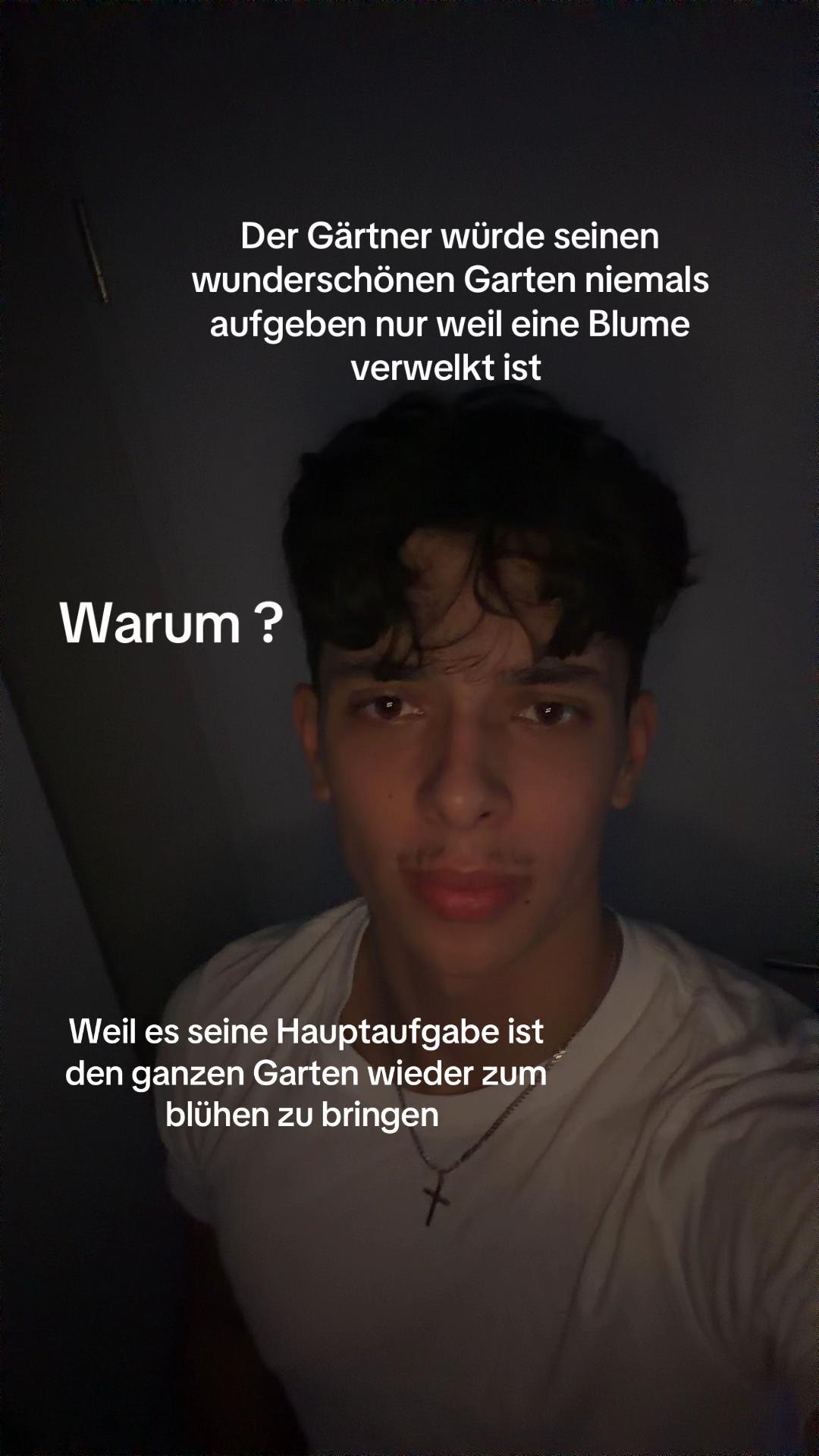 @mowie