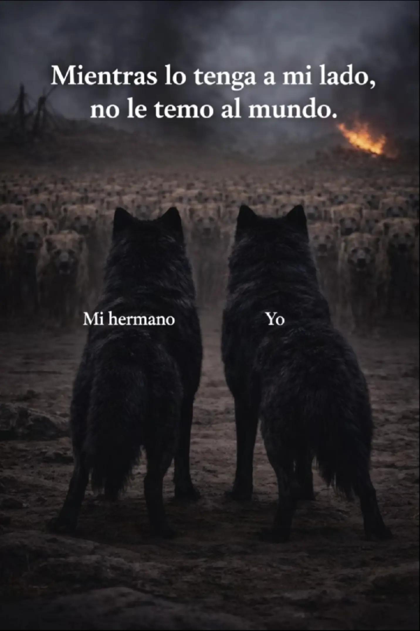 @Daddy wilo 🧔🏻♂️