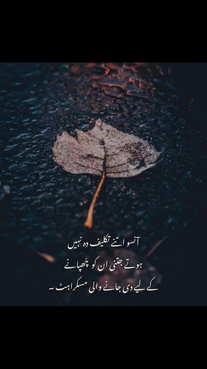 @🦅Fawad ali🦅