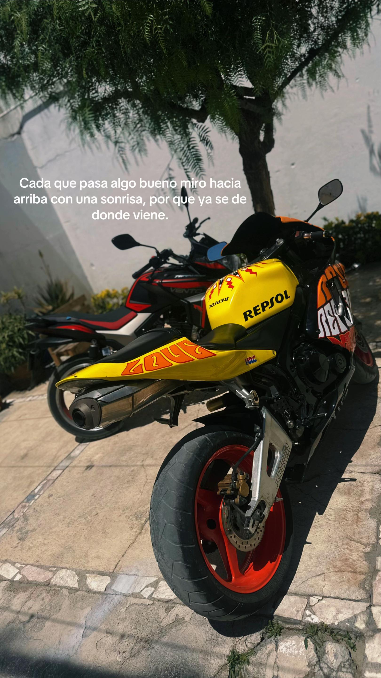 @bash_biker