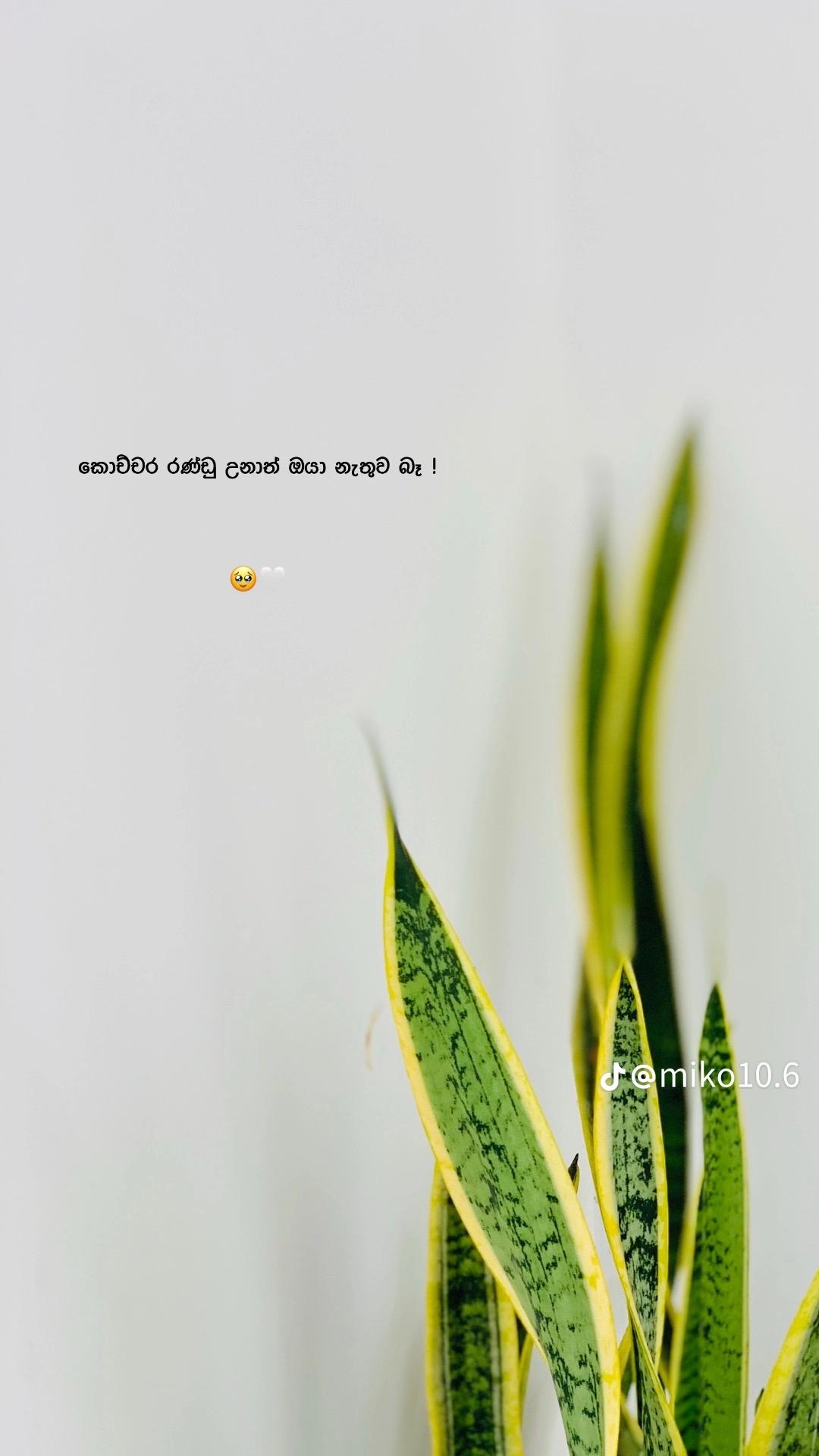 @𝐒^..🔐