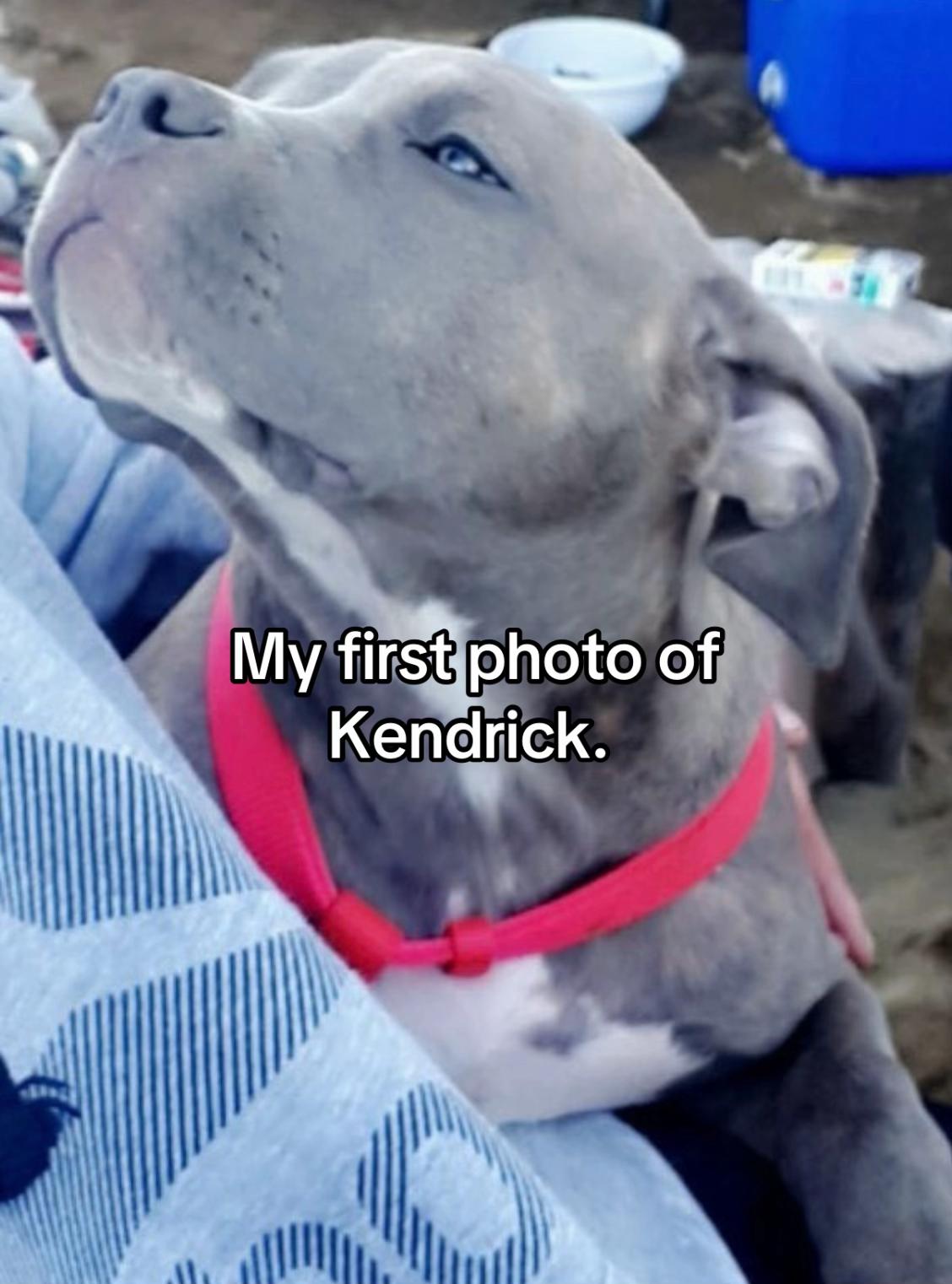 @Milflover