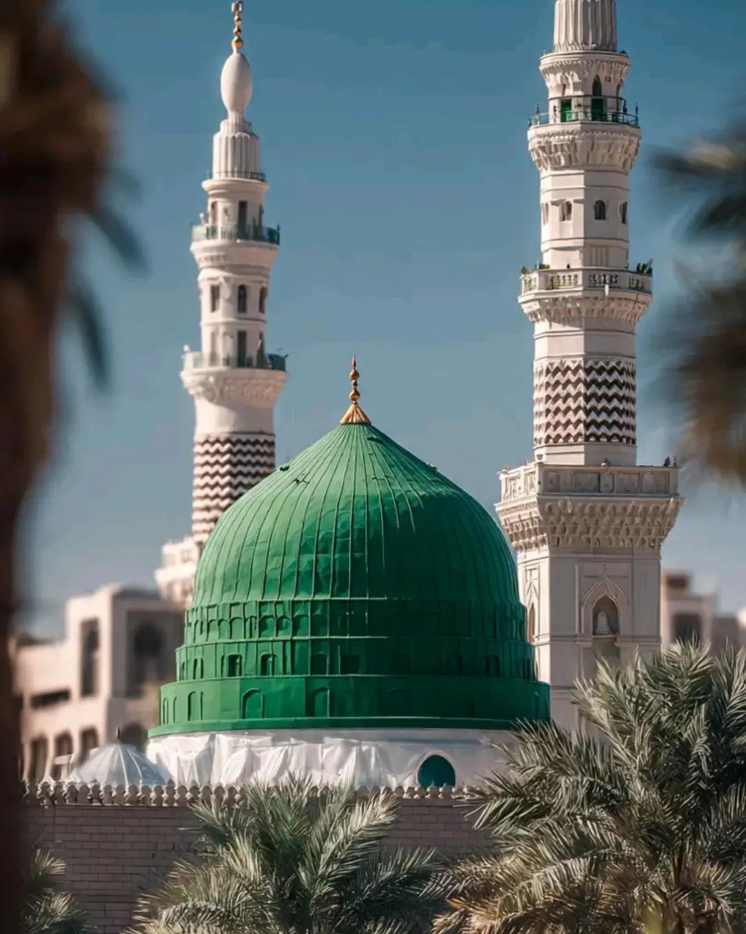 @kashif007