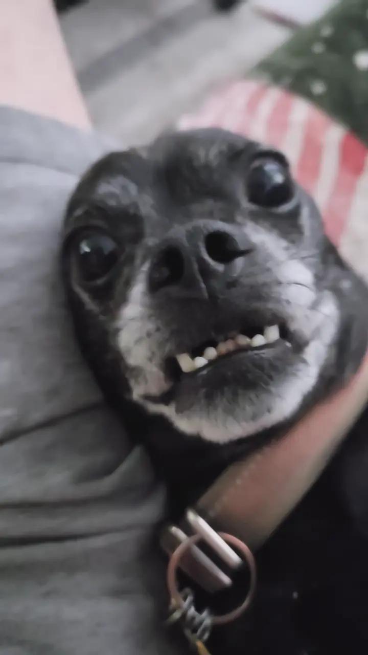 @Sasmaster