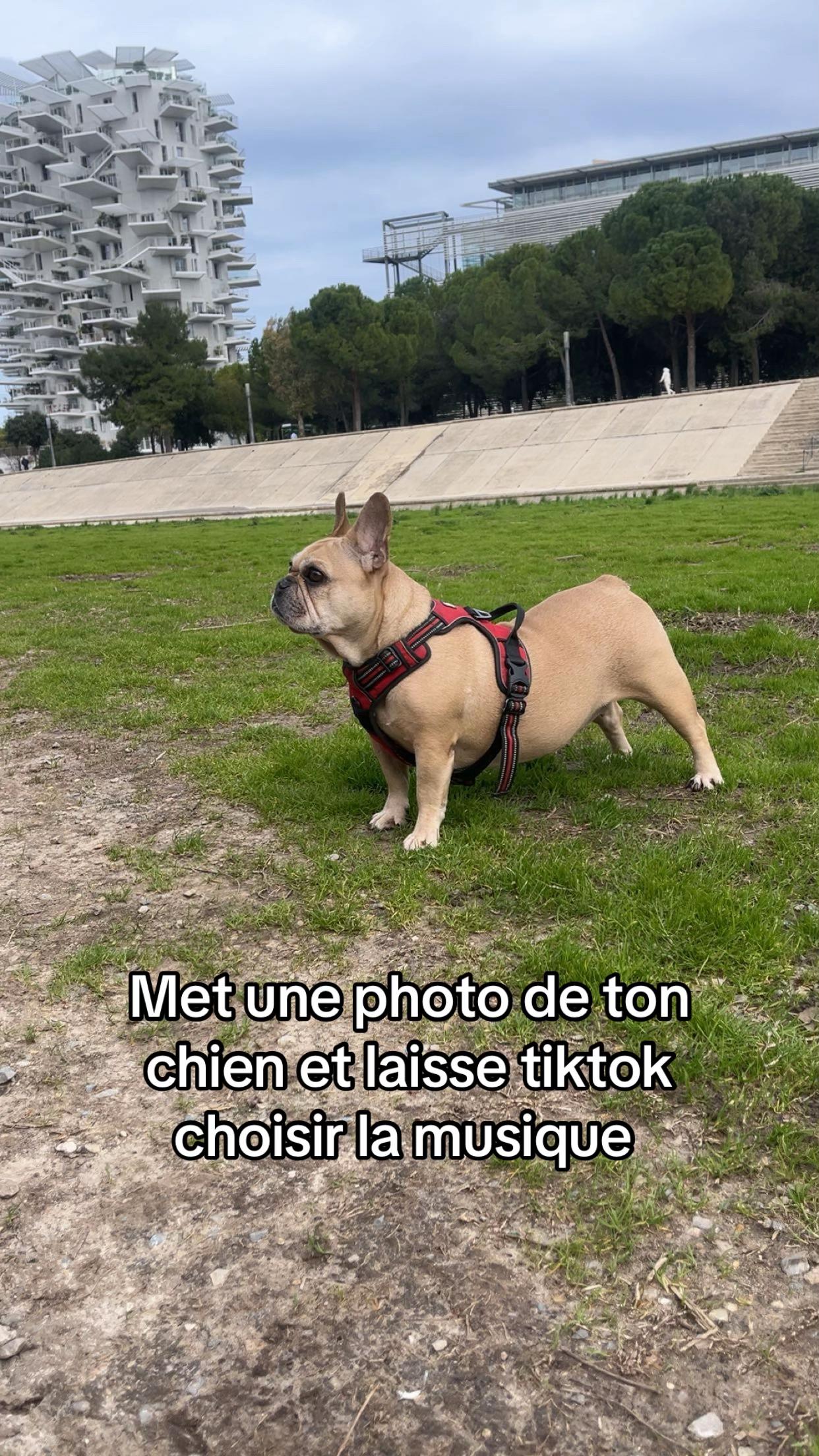 @les aventures de Nina