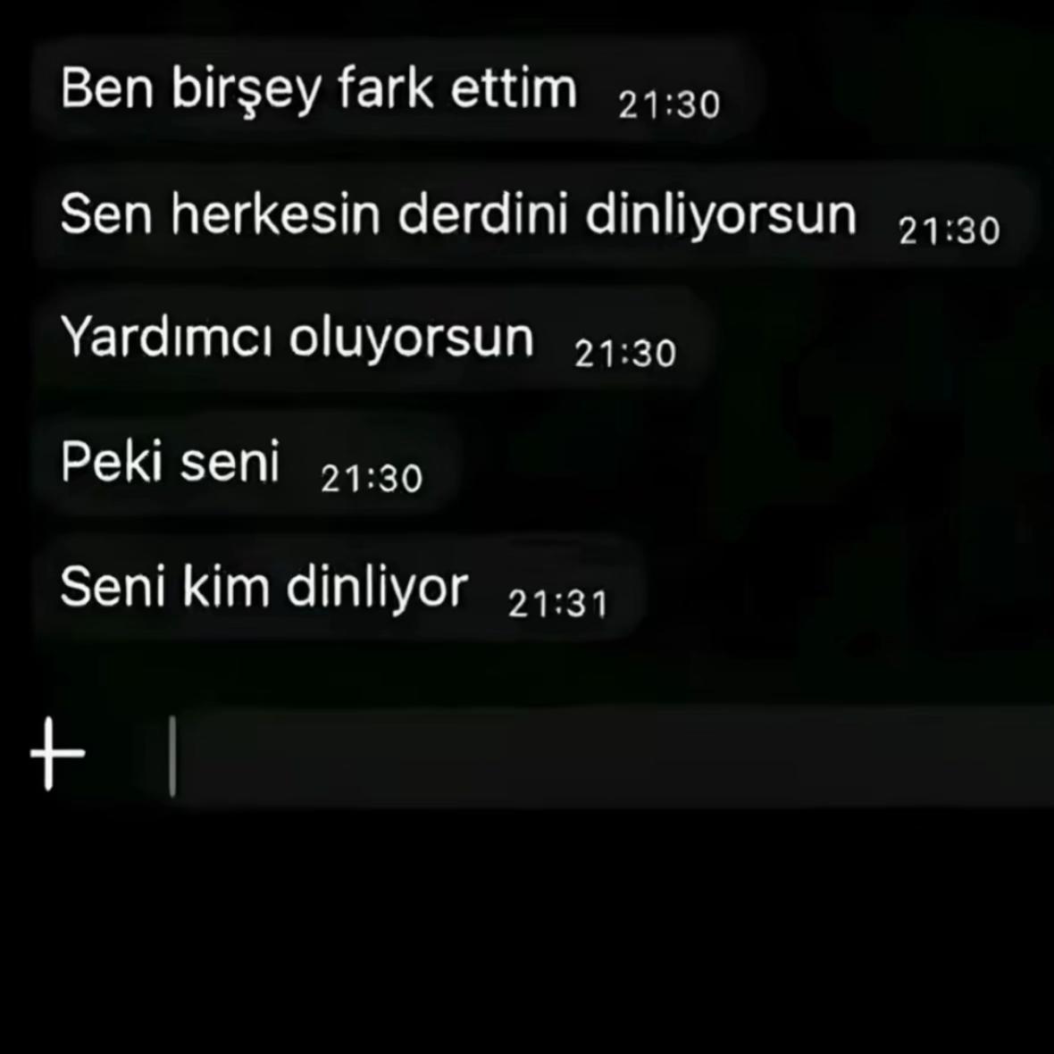 @elcinnplt62