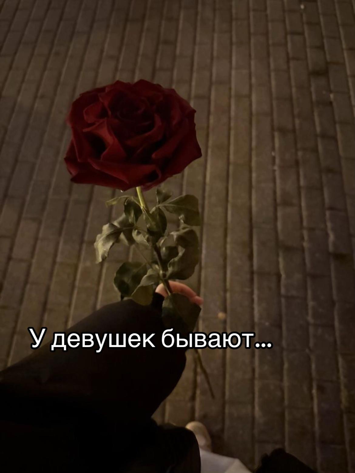 @🖤🖤🖤