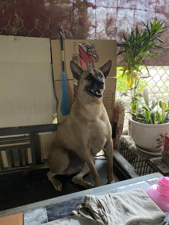 @Hãy làm điều mình thích!🥰