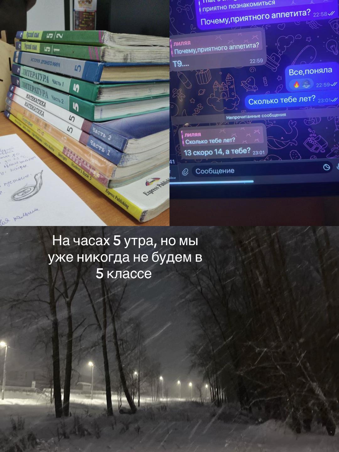 @Тгк: Rumi🐾
