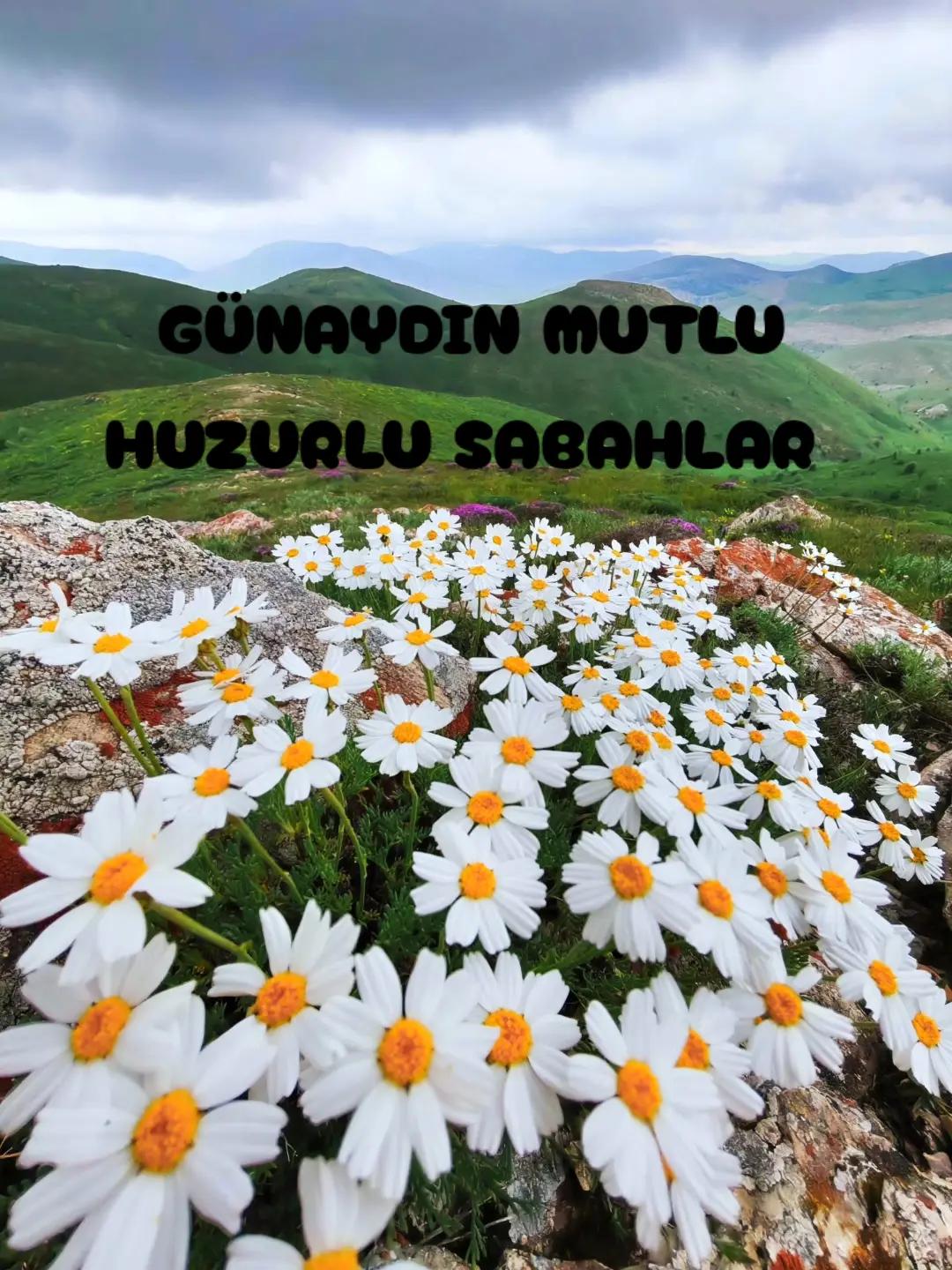 @Hasan Yılmaz