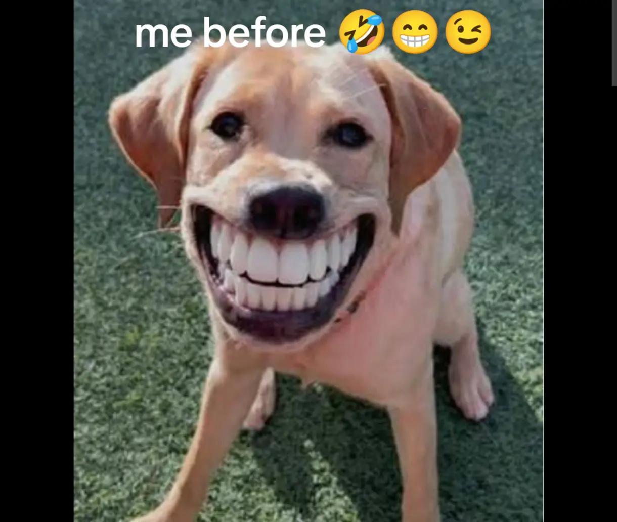 @mail_rl
