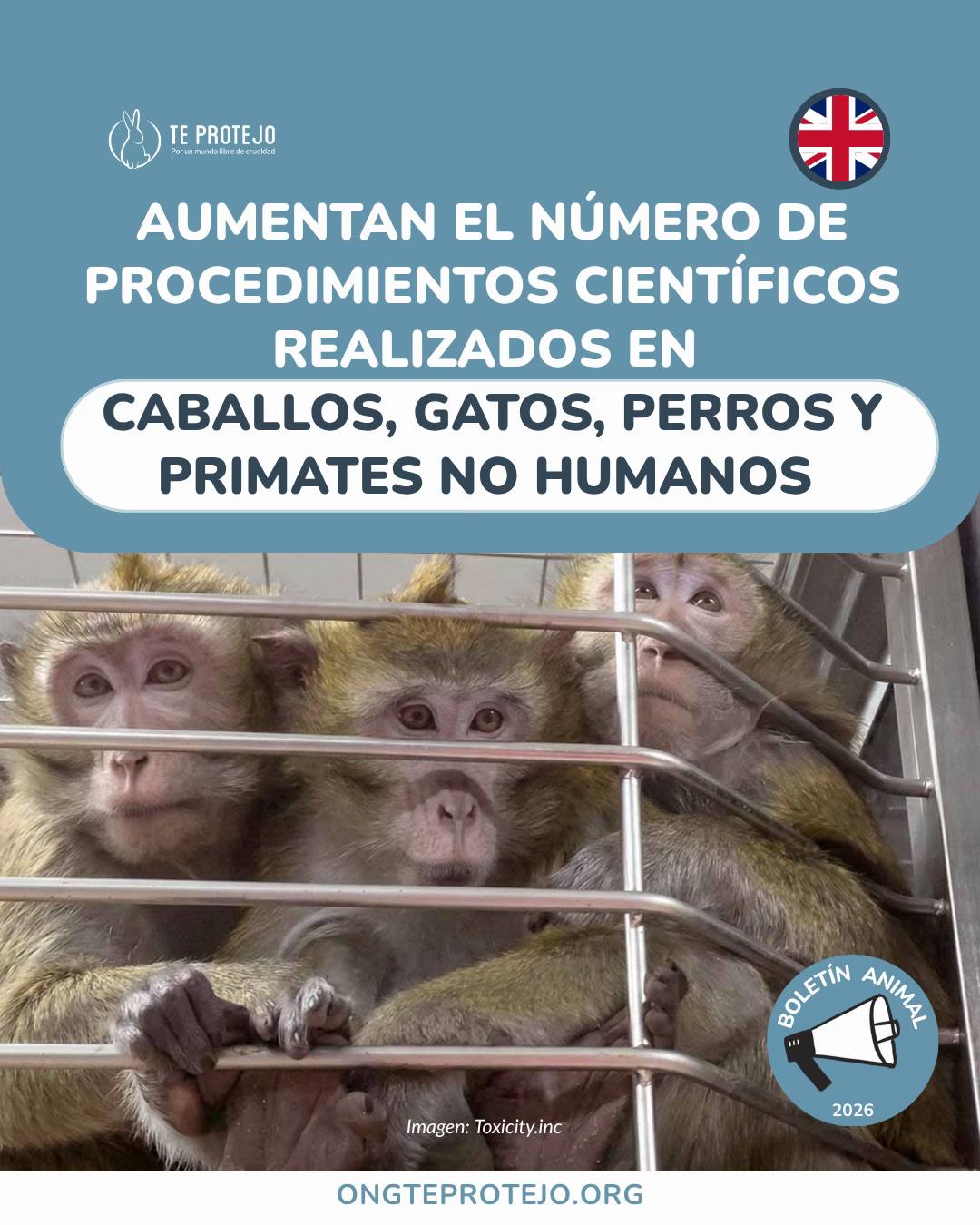 @Te Protejo