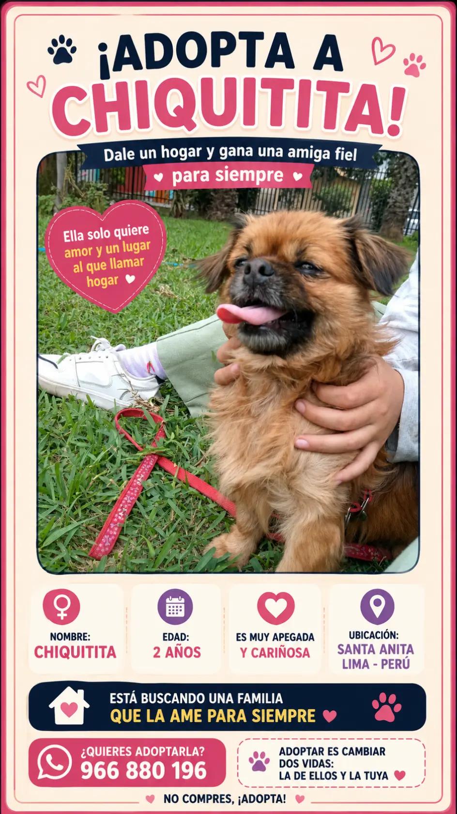 @Perritos Voladores