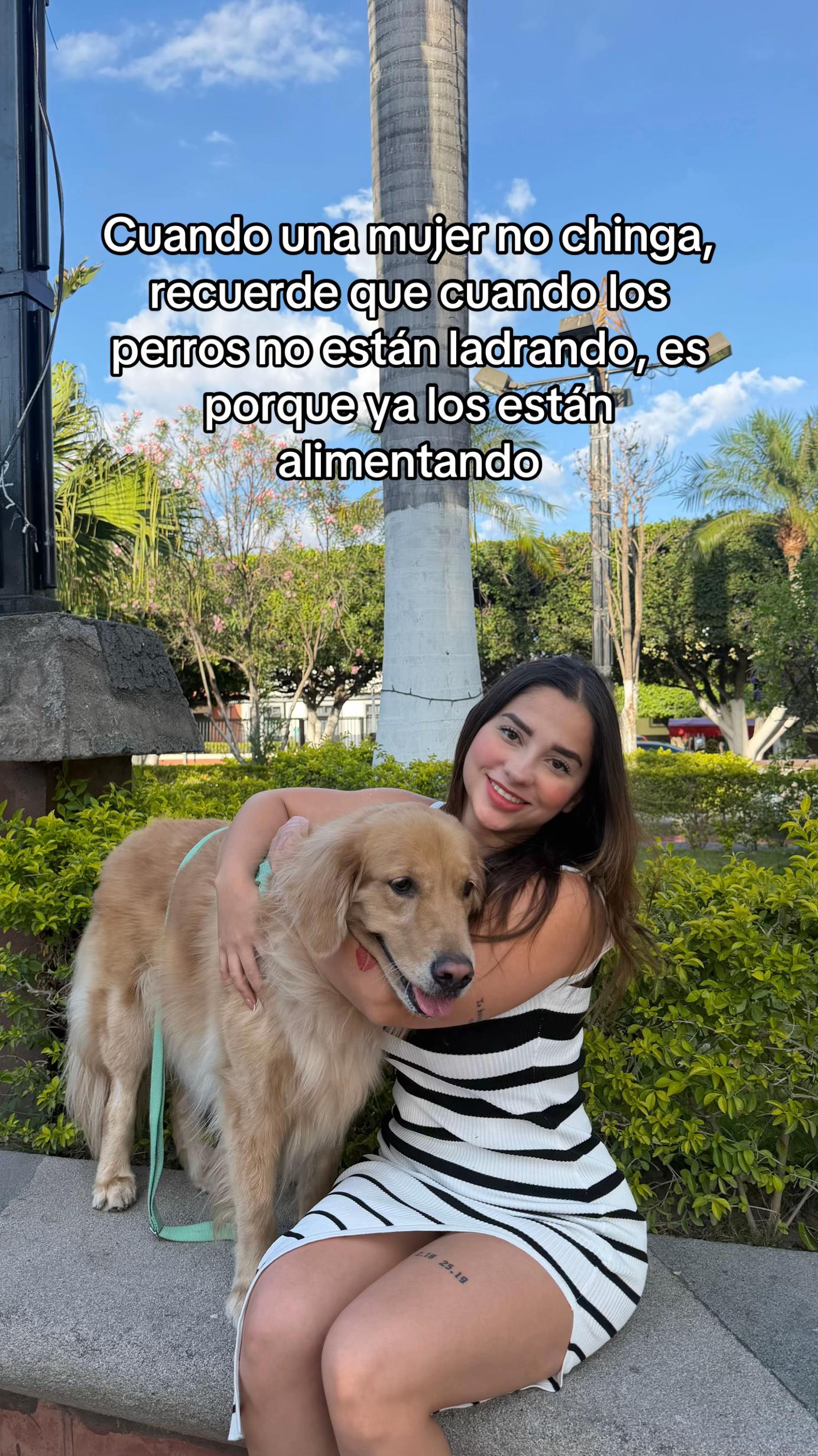 @𝒜𝑀𝐸𝐿𝐼𝒜 𝒜𝑅𝒞𝐻𝐼𝐿𝒜