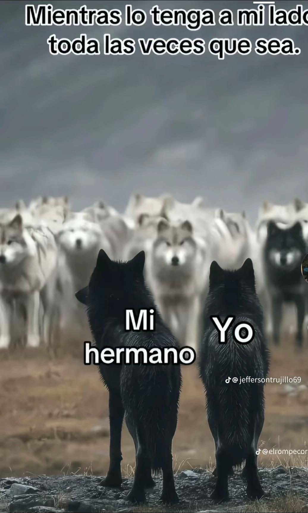 @Eleazar Anta