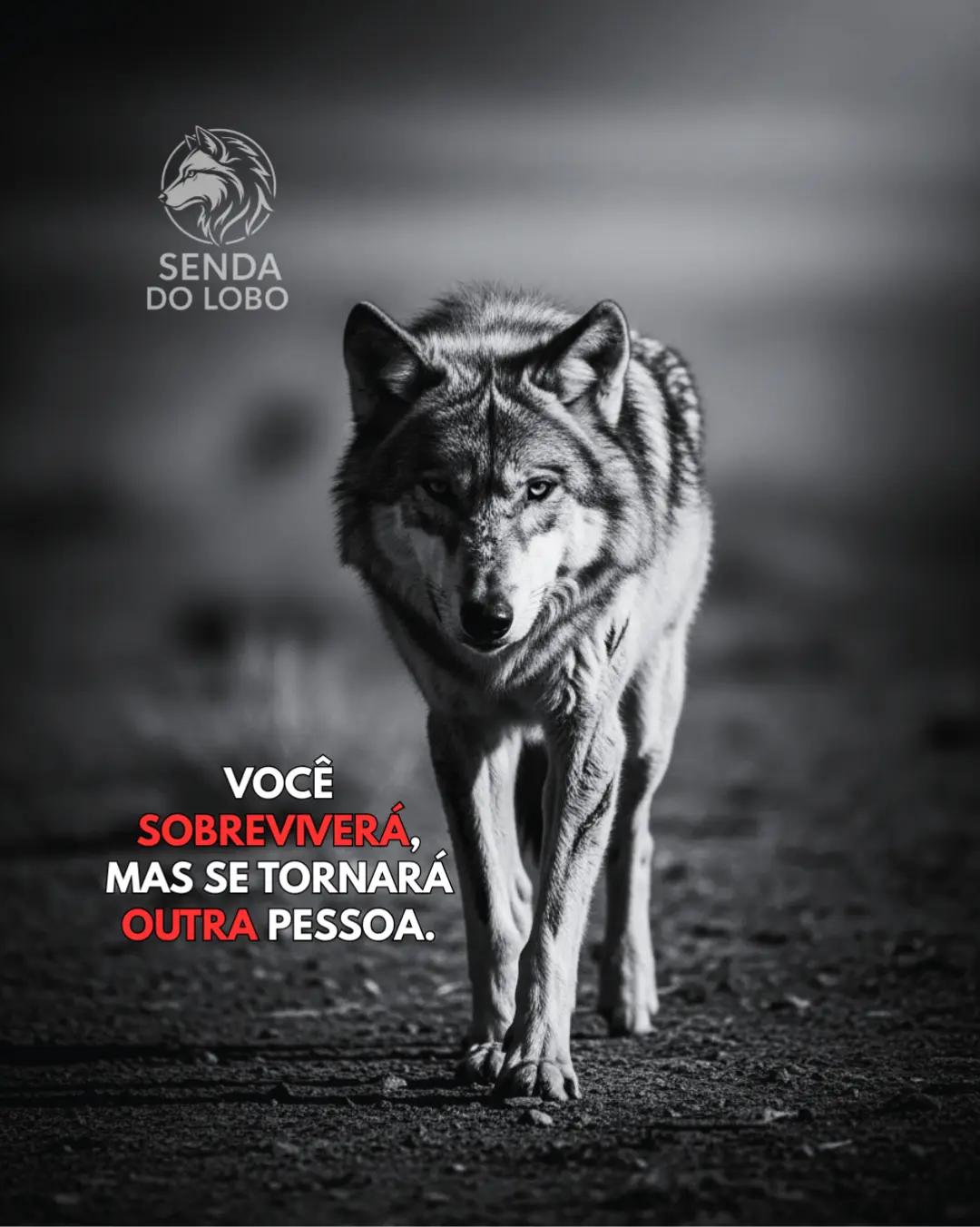 @Senda do Lobo