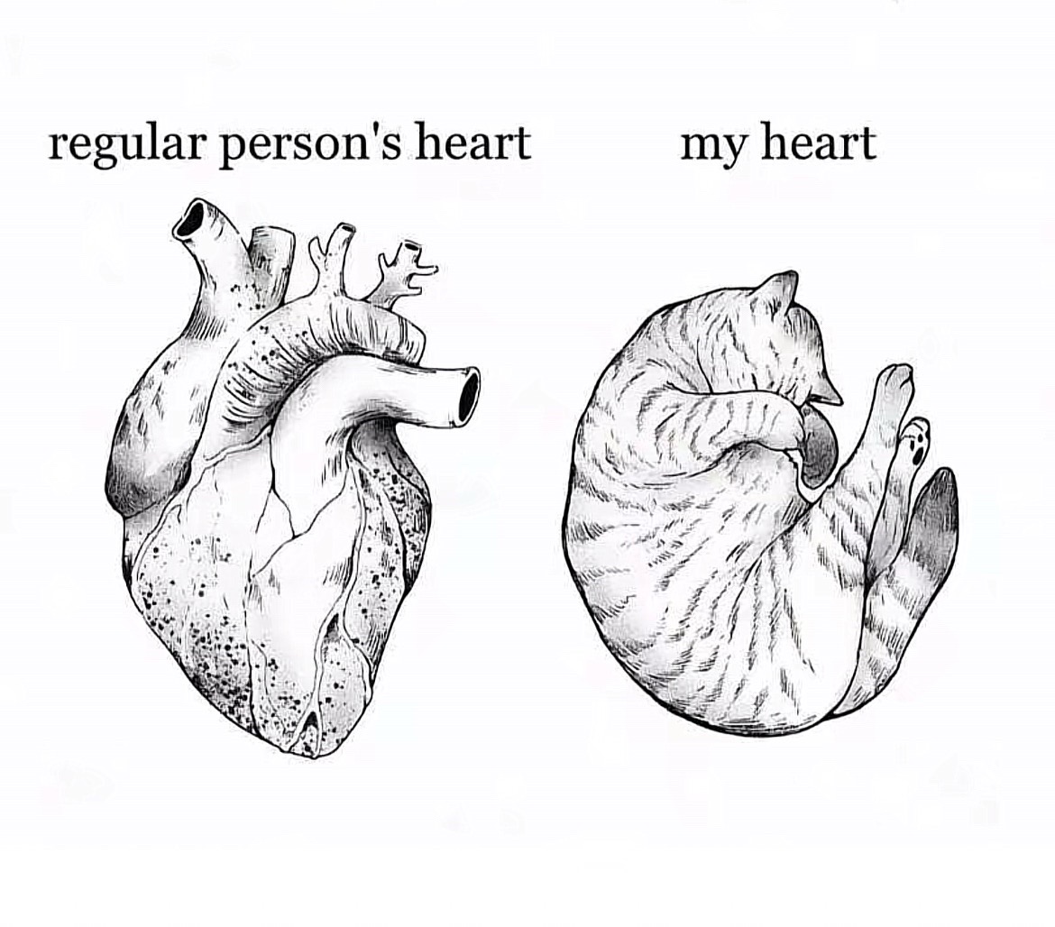 @🐾